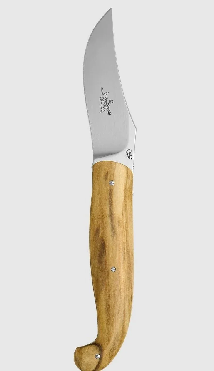 Viper - I Regionali -Senese ULIVO