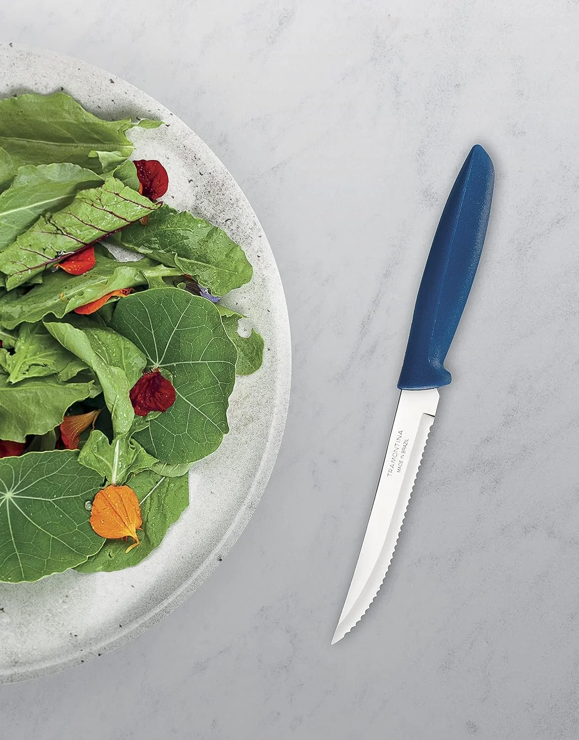 tramontina blu 4.jpg