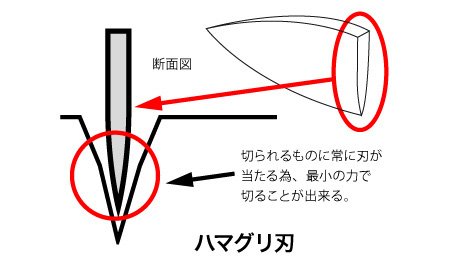hamaguri.jpg