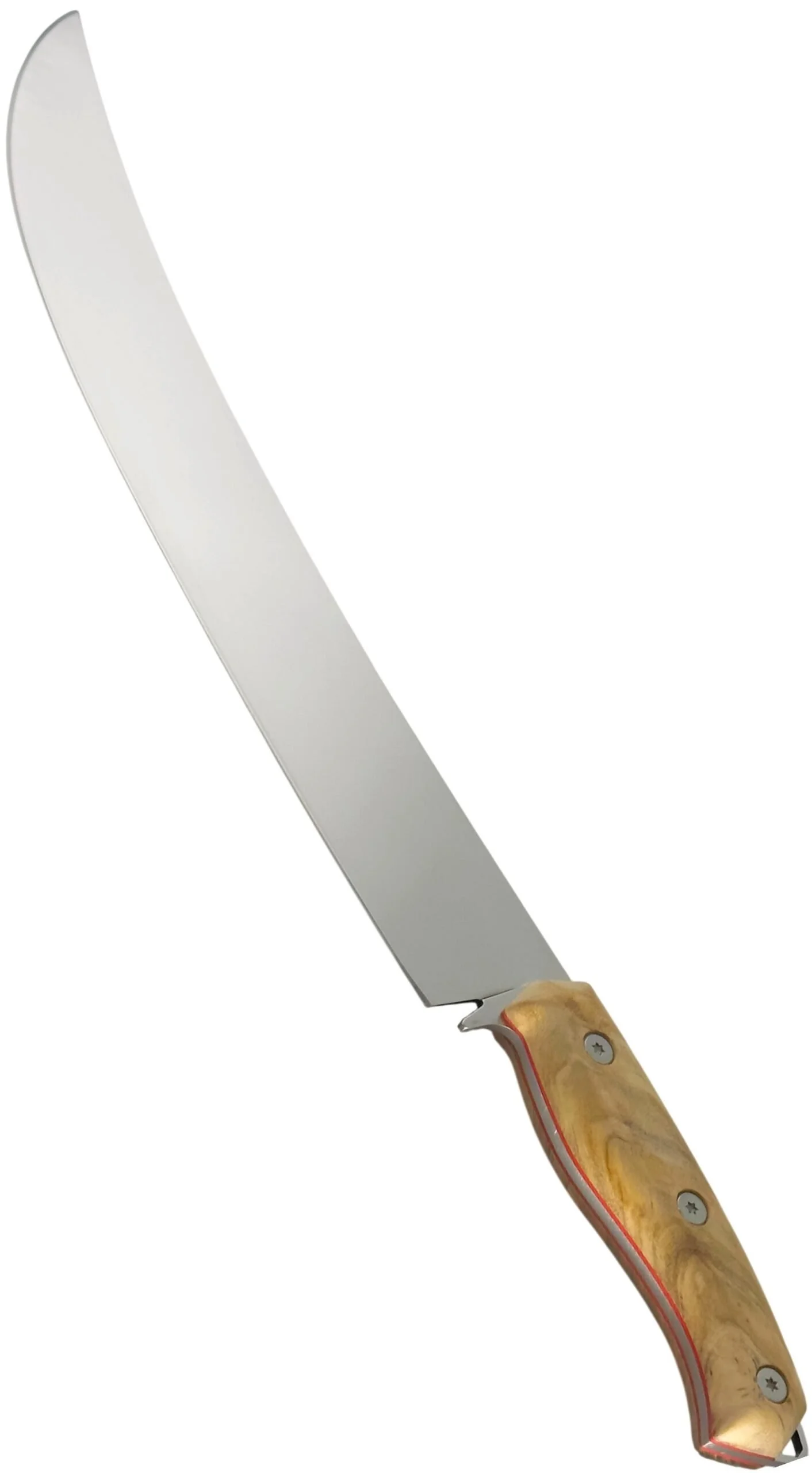 vega 3.jpg