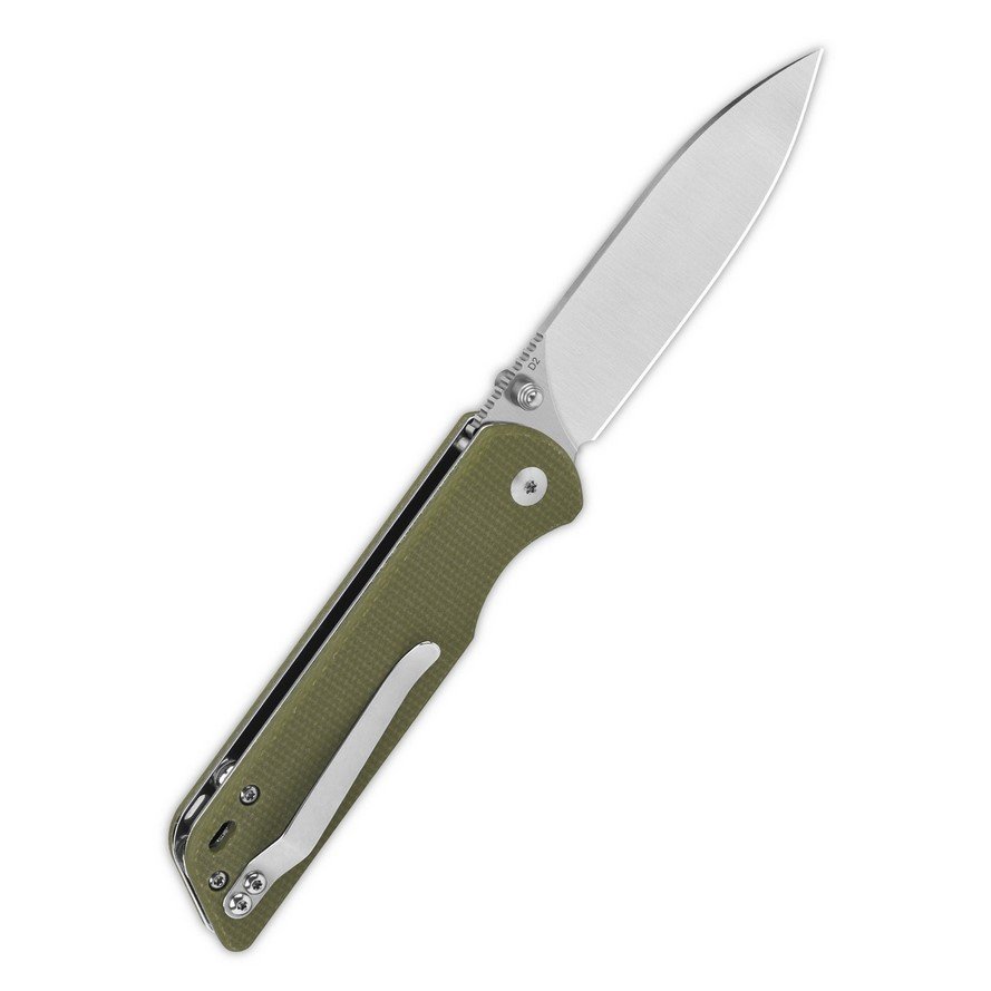 PARROT GREEN 5.jpg