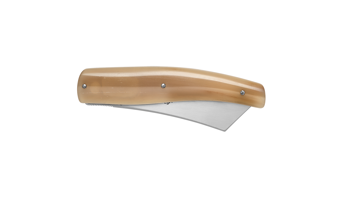 v5750pc_regionali-rasolino_gallery_03.png