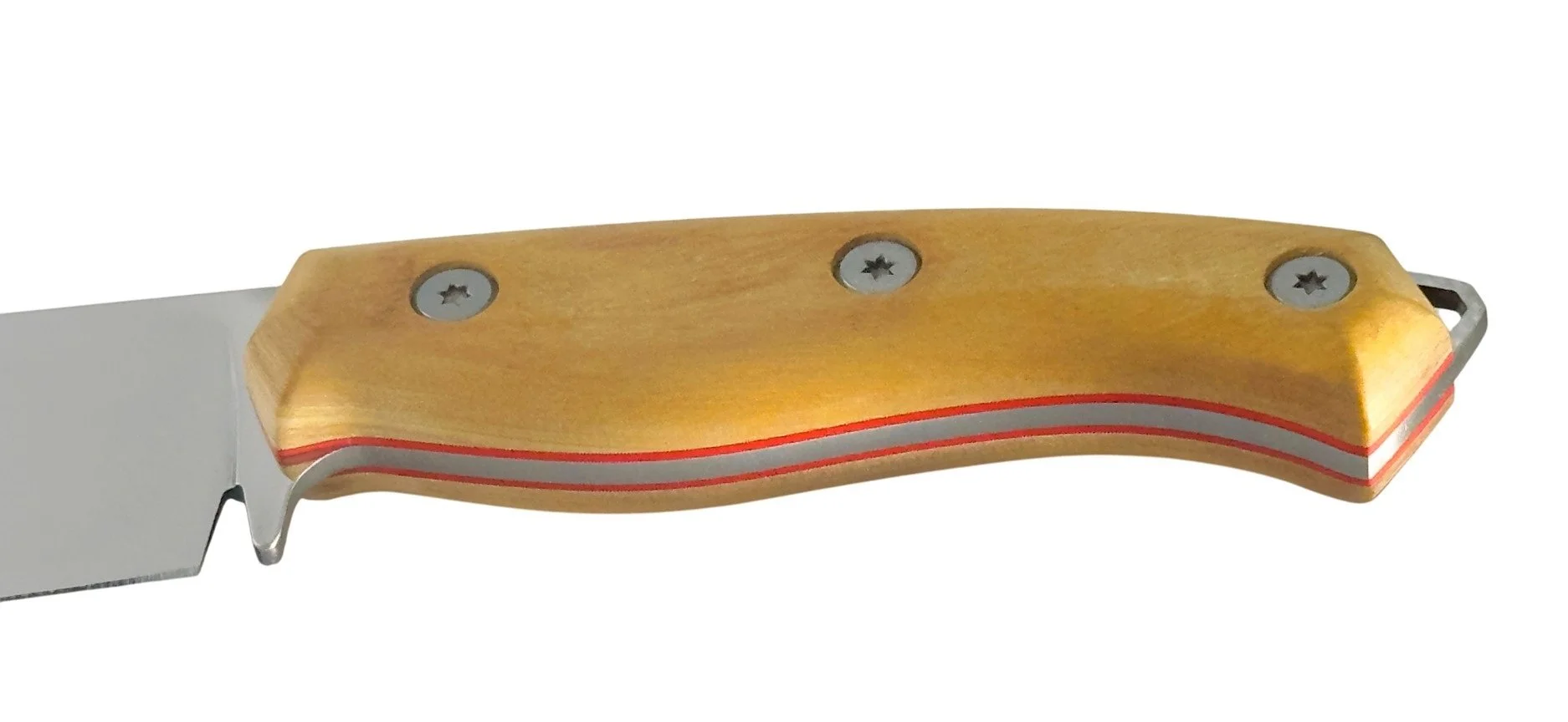 persiano fenix 2.jpg