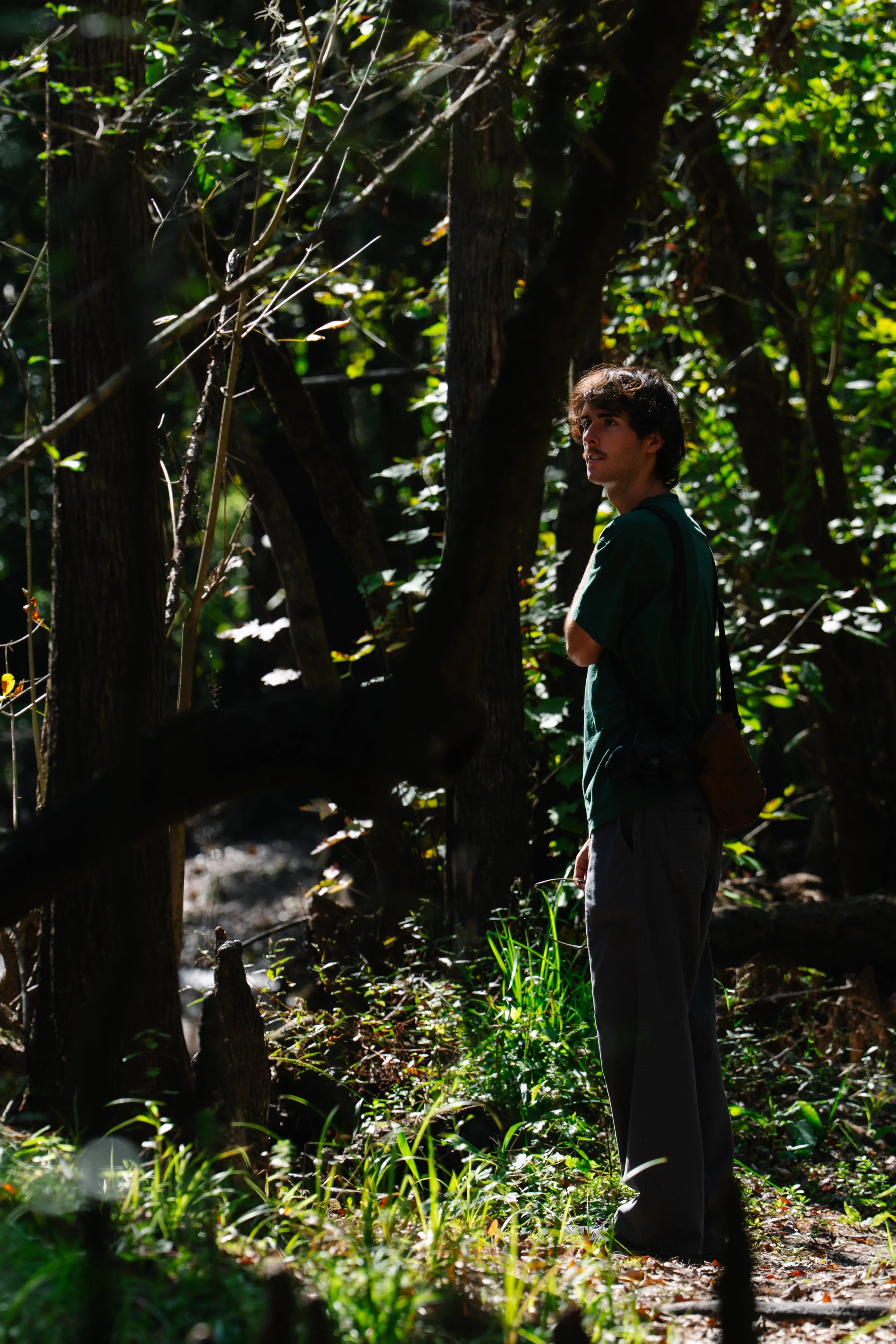 A young man with curly hair and a green shirt stands in a dense forest with sunlight filtering through the trees.