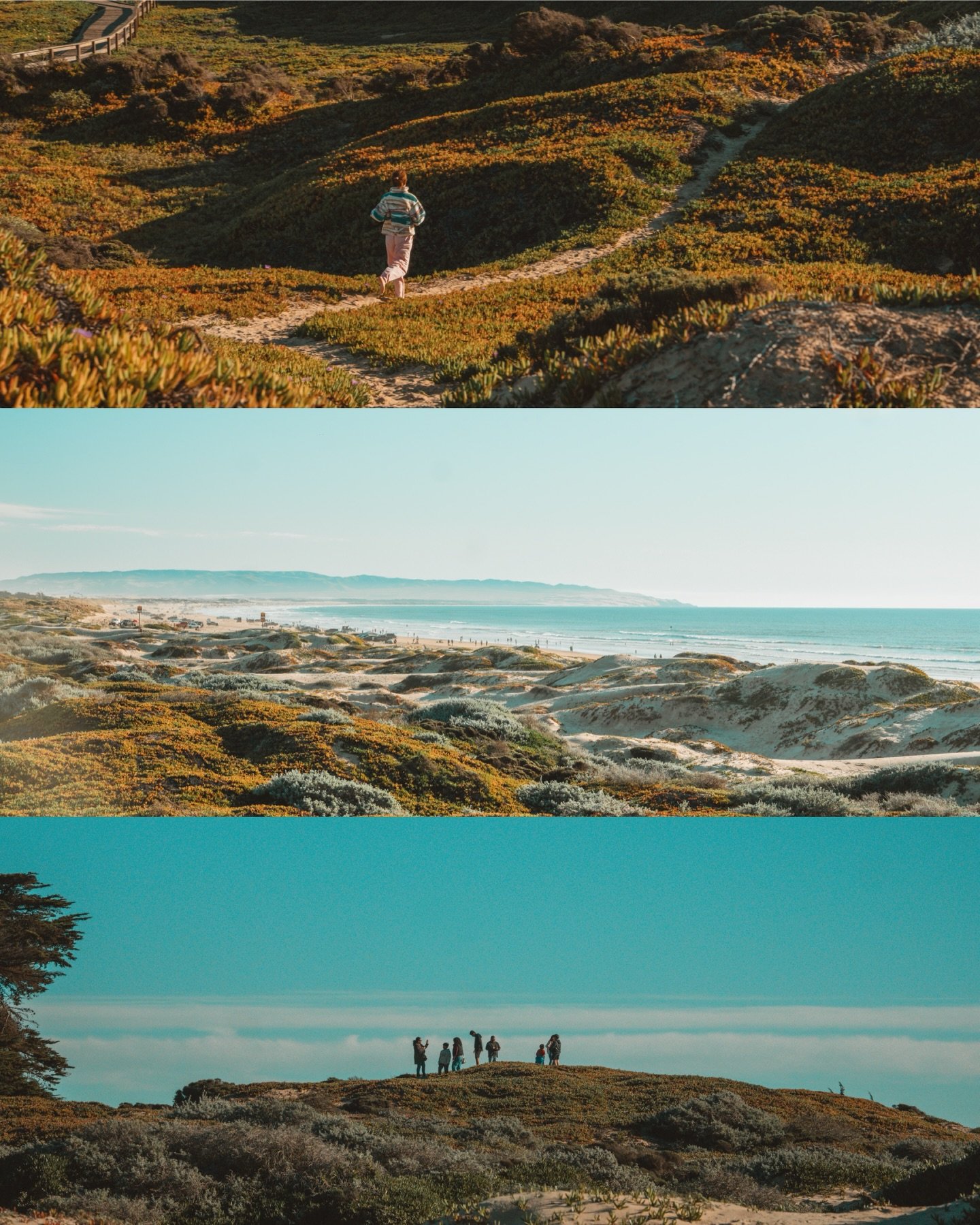 📍Pismo Beach Dunes, CA
&bull;
#photography #pismobeach #travel #landscapephotography #wildlife