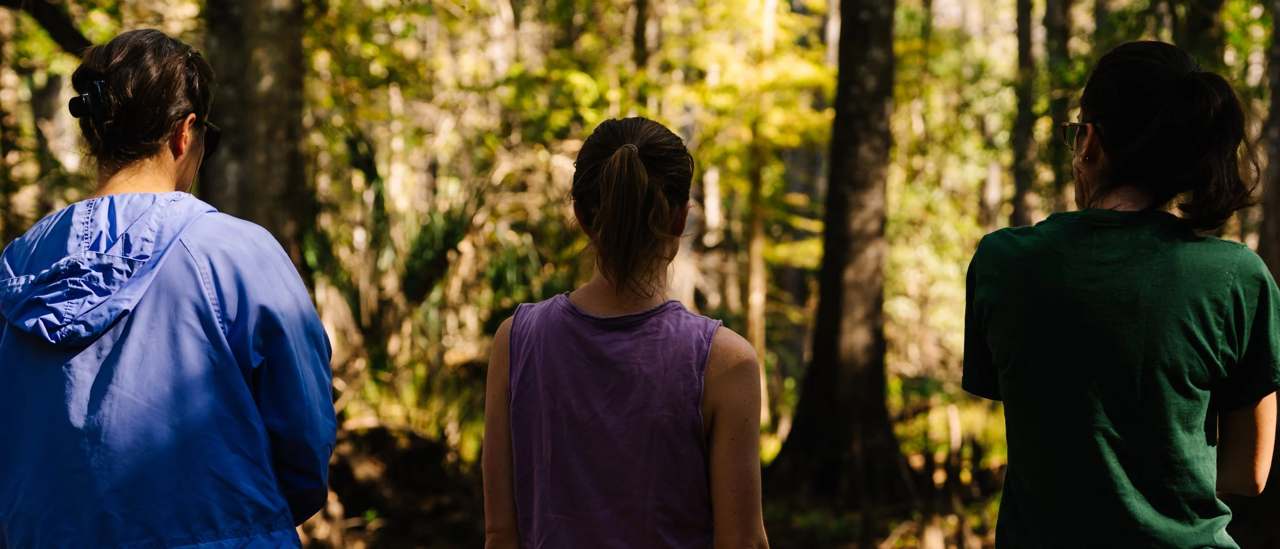 Three women standing in a forest with sunlight filtering through the trees, viewed from behind.