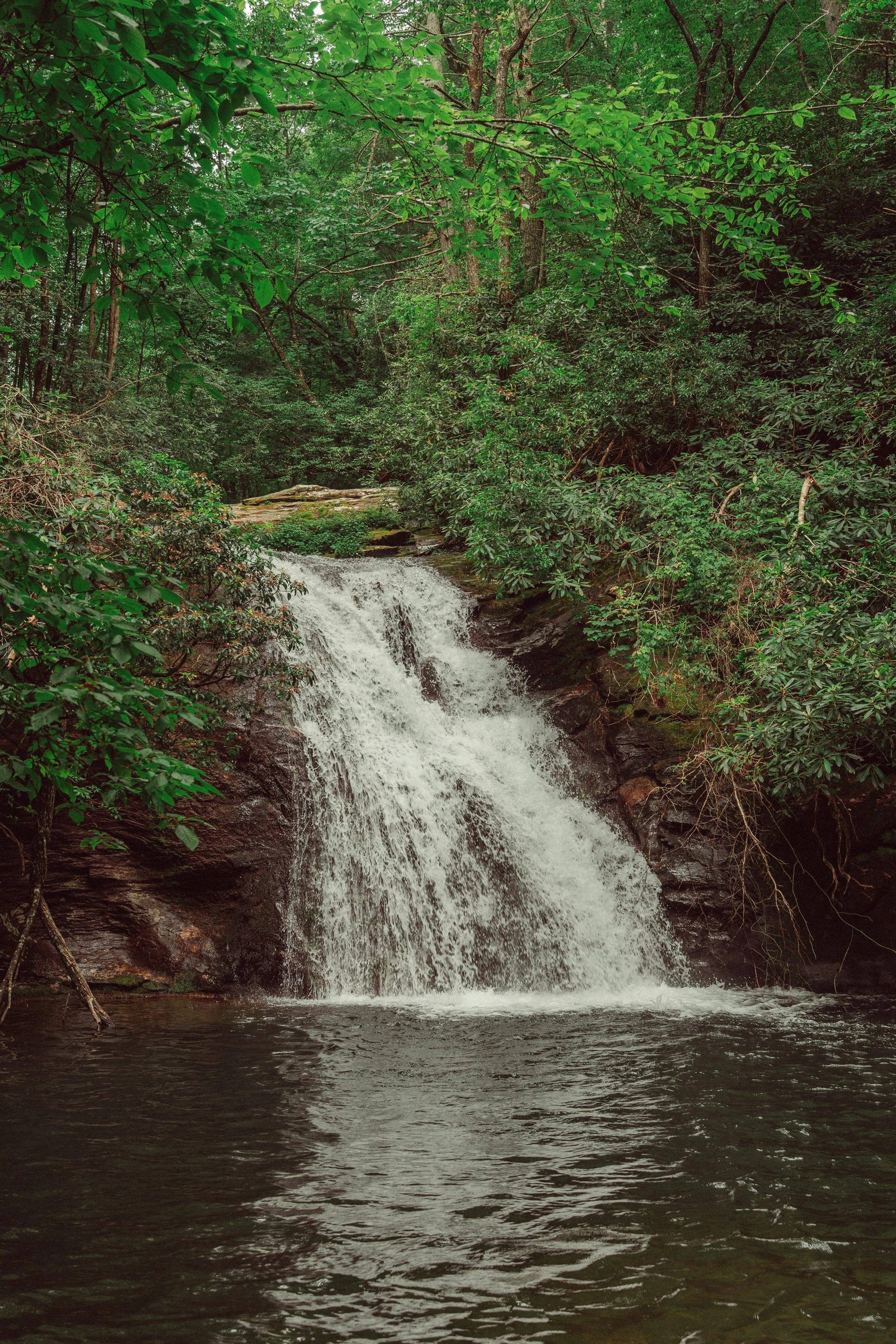 A small waterfall flowing into a calm pool surrounded by lush green trees and foliage.