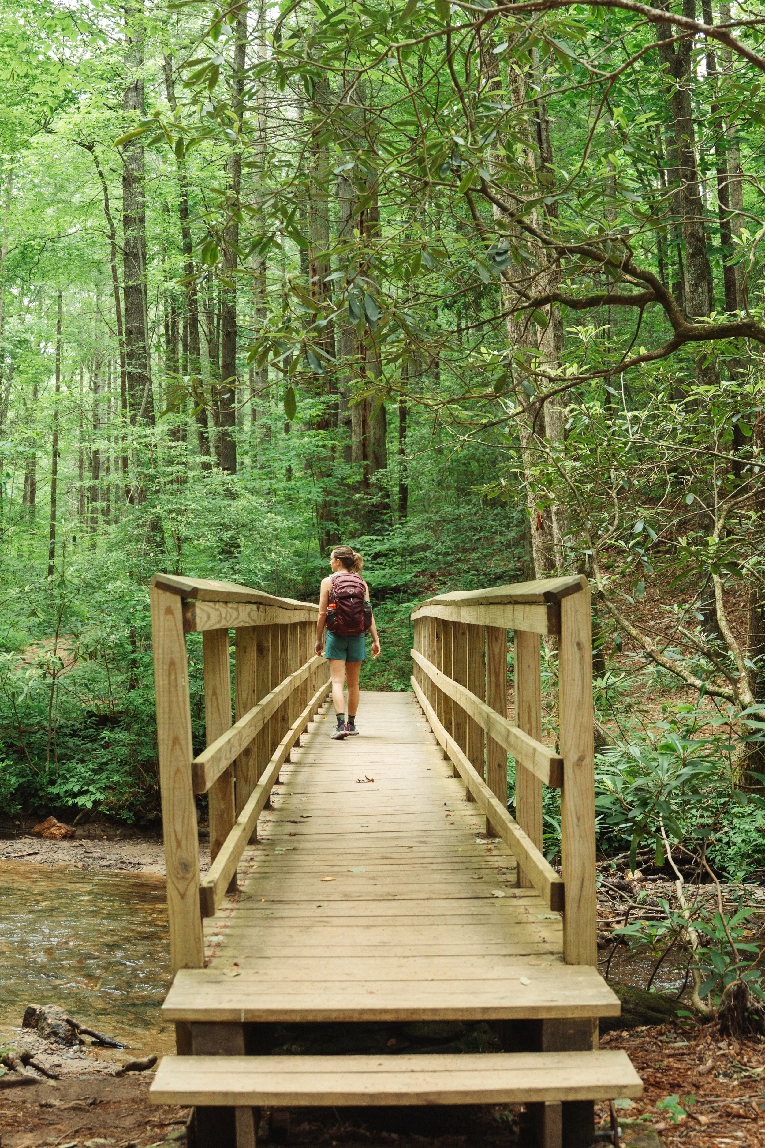 A person walking on a wooden footbridge in a lush green forest, wearing a backpack and casual outdoor clothing.