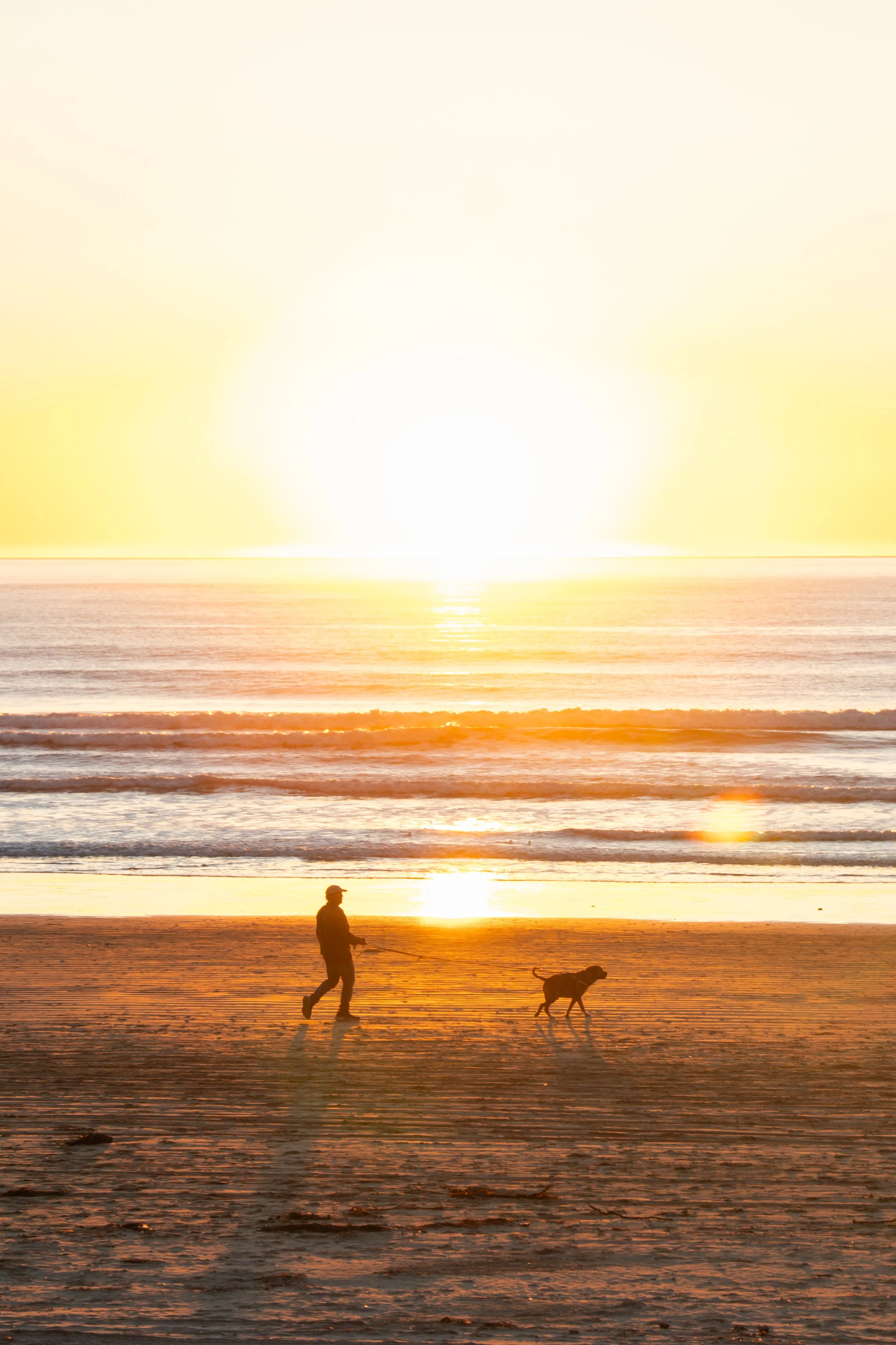 Person walking a dog on a beach at sunset.