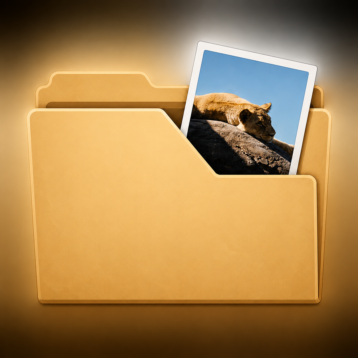 Individual Photo Digital Download