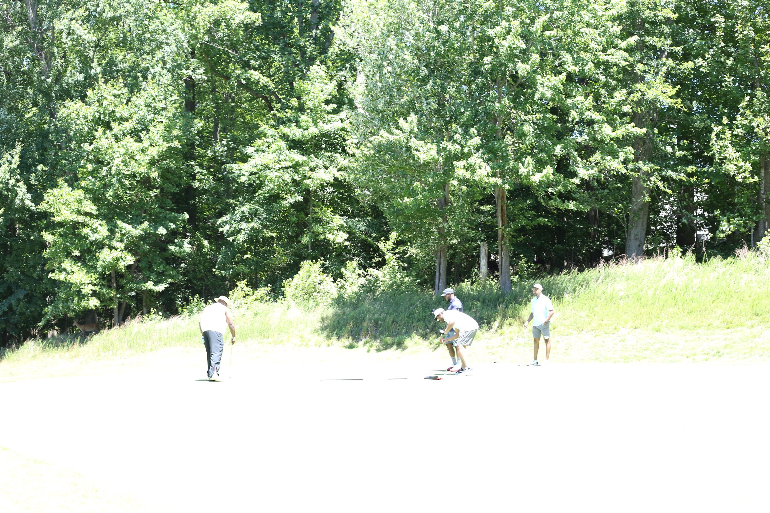 IMG_7121.JPG