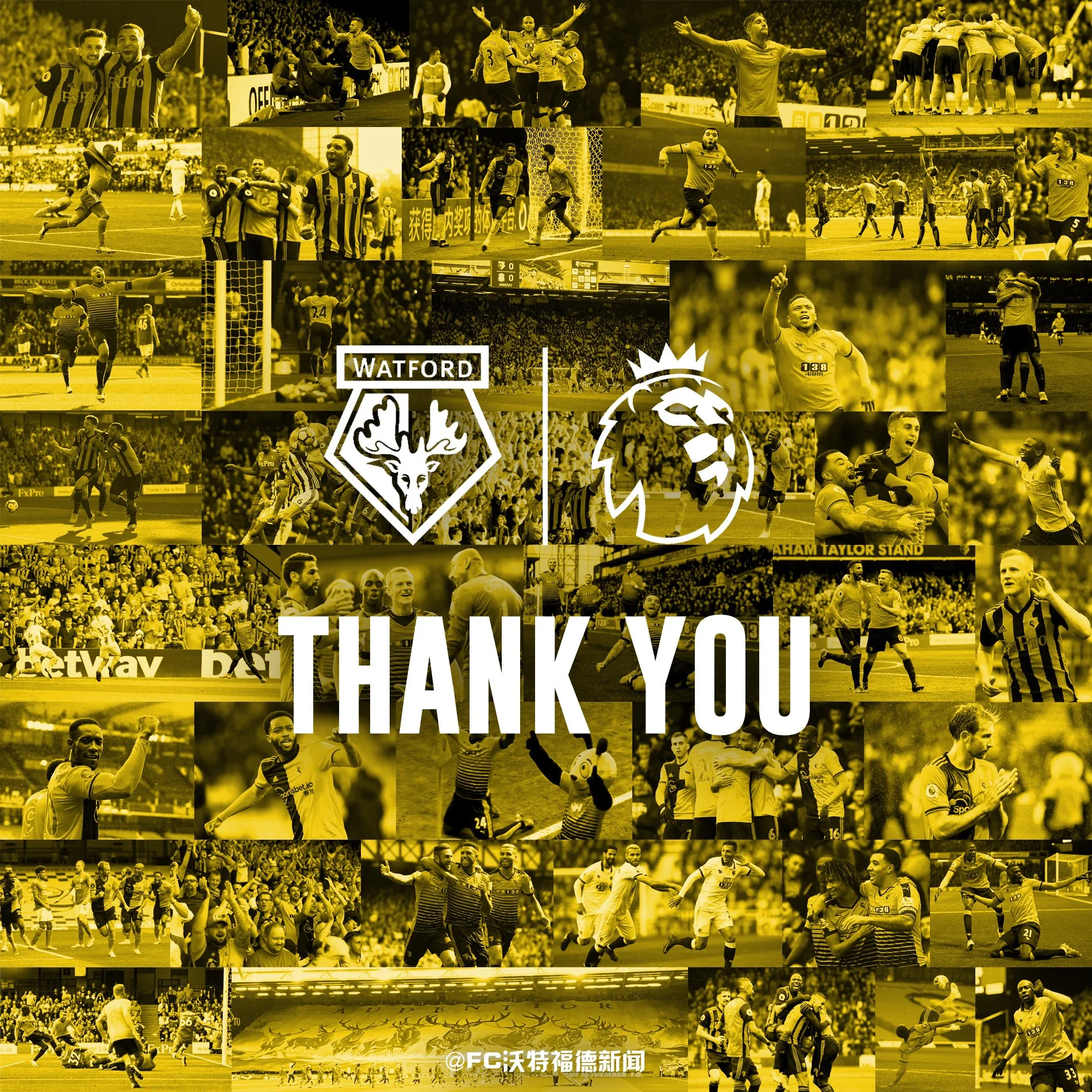 TY EPL with logo.jpg