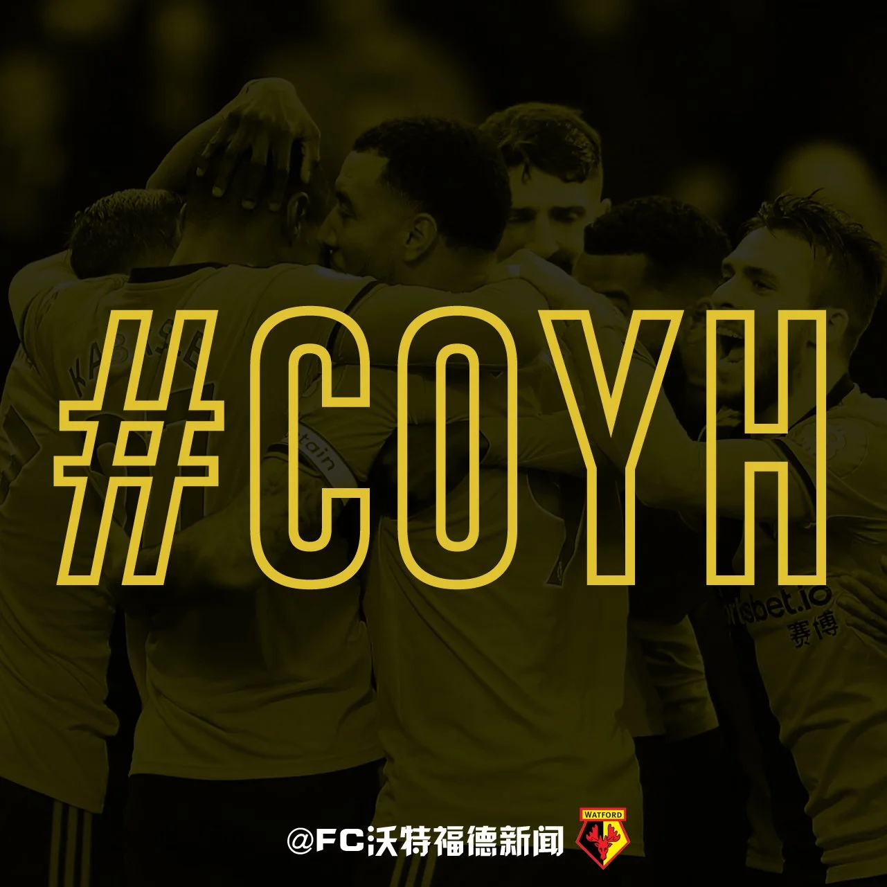 COYH.jpg