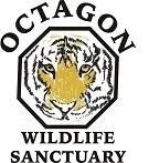 Logo of Octagon Wildlife Sanctuary featuring a tiger's face.