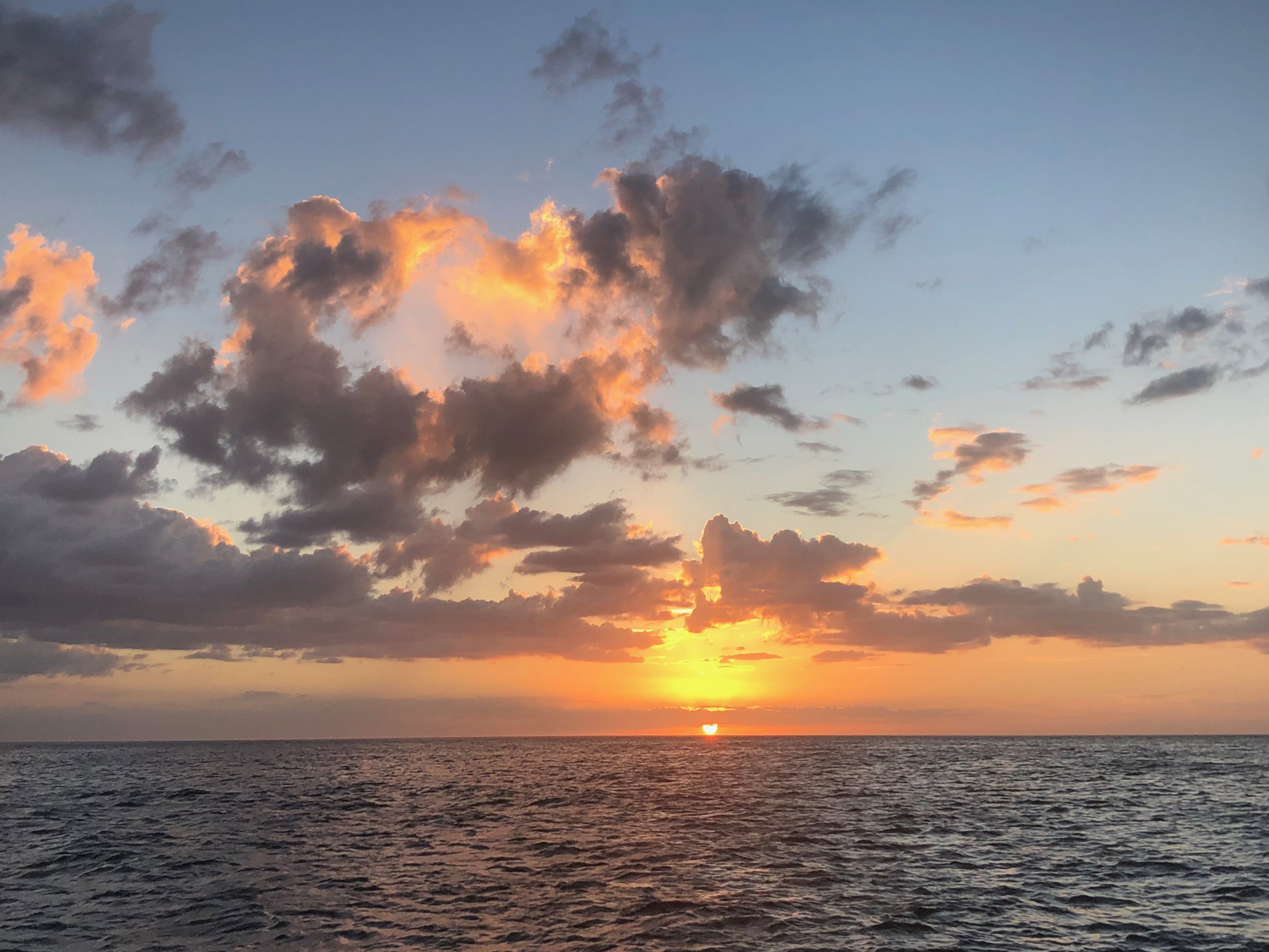 Suncoast Biplanes Golden Hour Tour in Venice