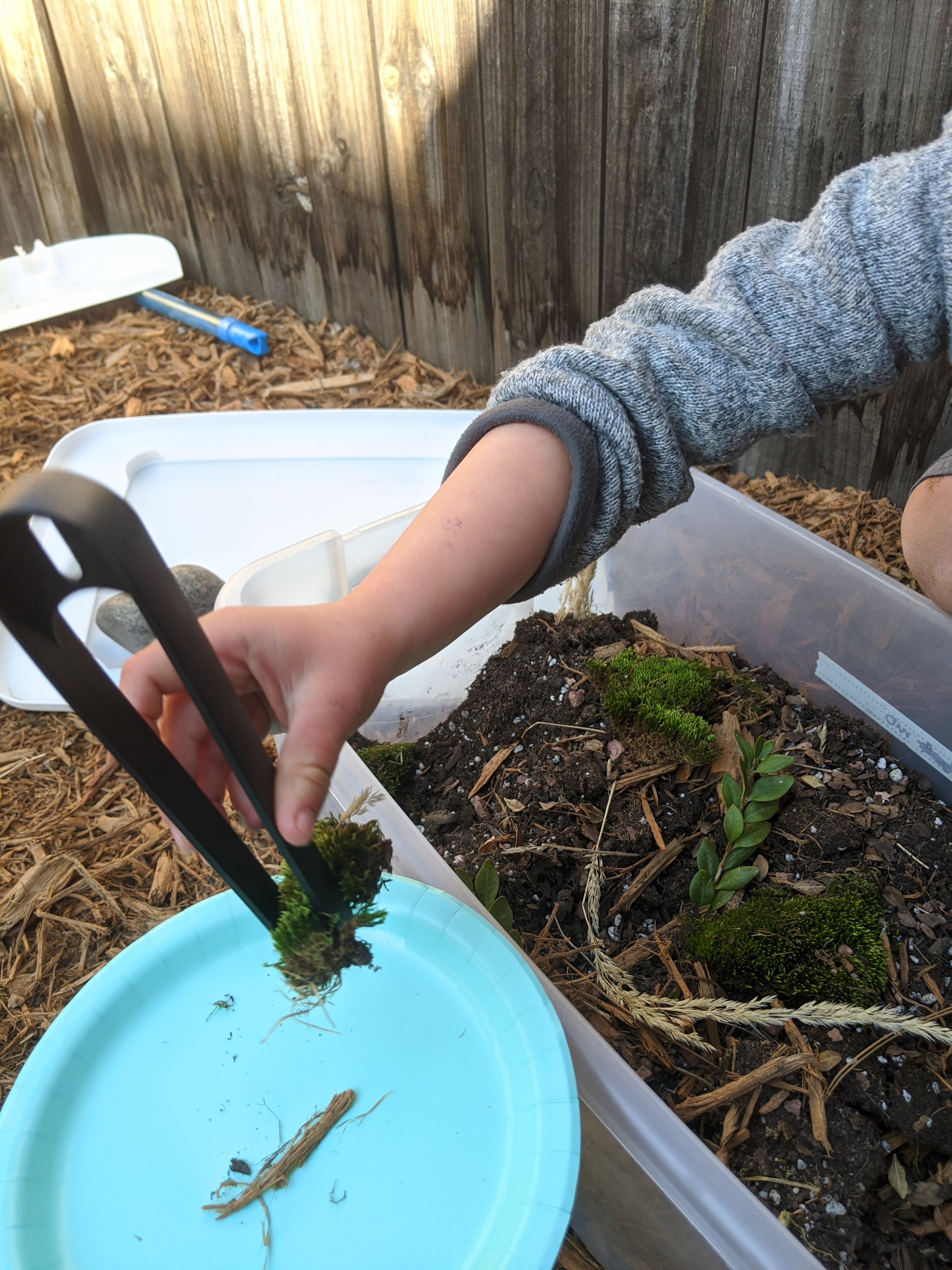 Nature based play to promote fine and gross motor development
