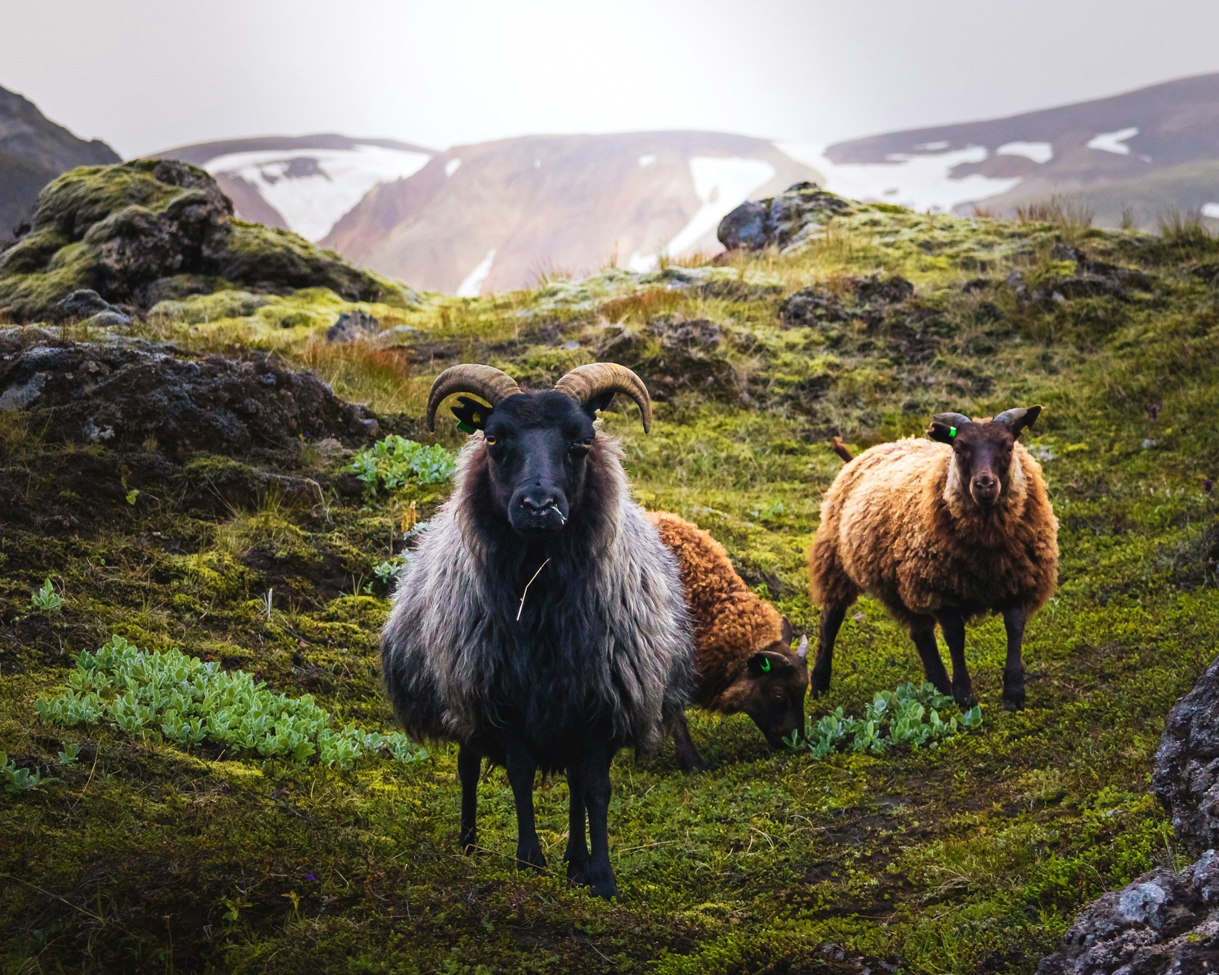 unsplash-image-8POZydb3G-E.jpg