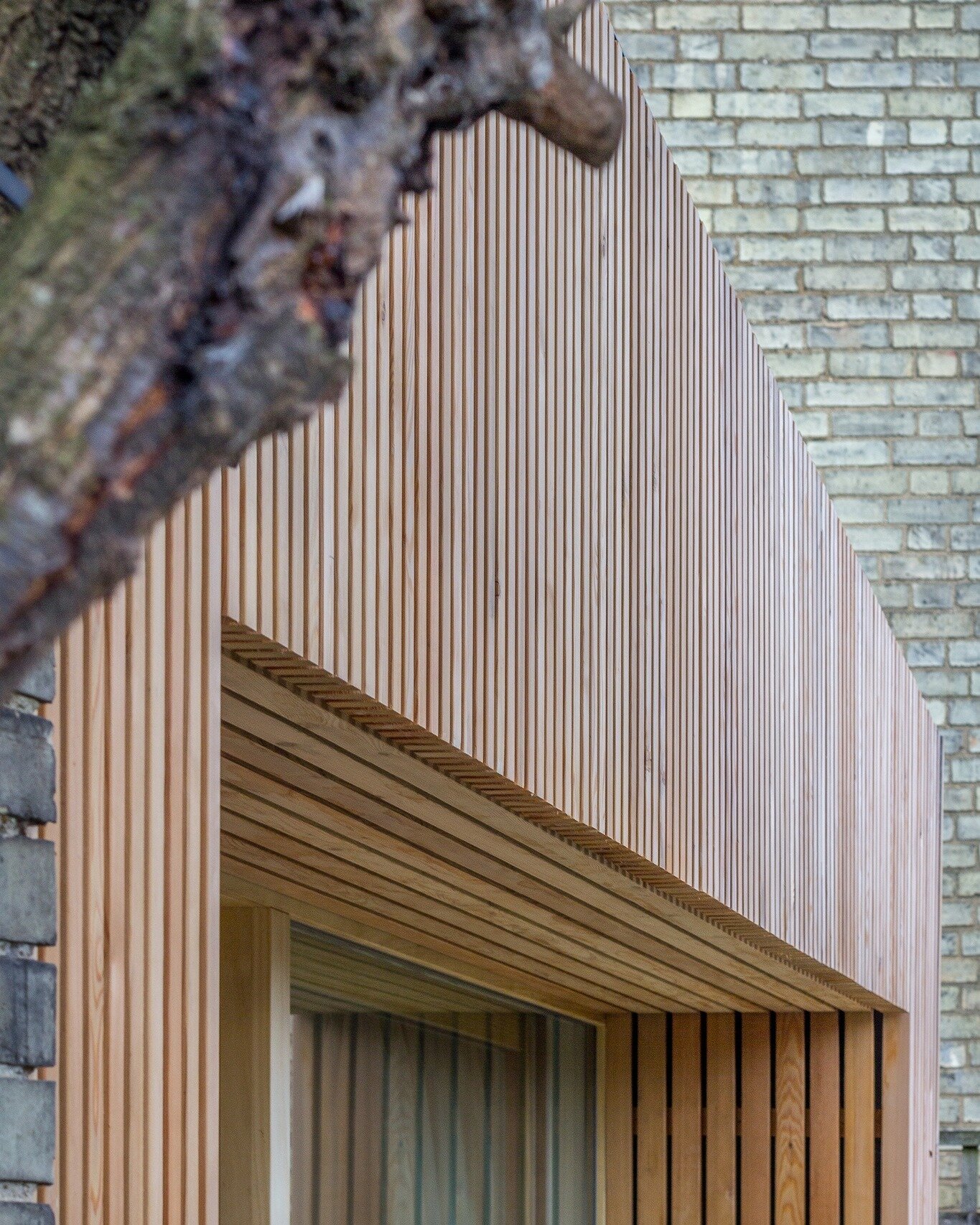 Slatted timber cladding at Riverside, Cambridge, on an extension to an existing late Victorian end-terrace house