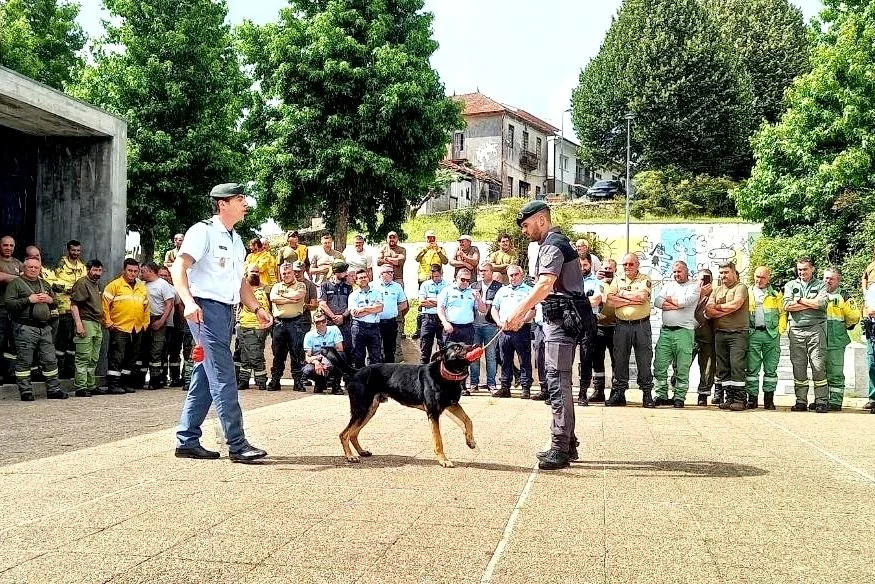 Authorities and Regional Agents Receive Training on Wildlife Poaching Prevention and Detection in Portugal