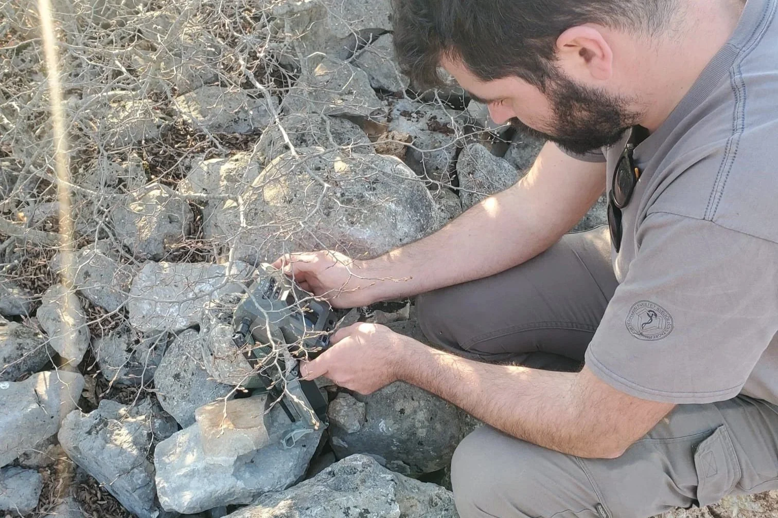 Final Field Season of the LIFE Wild Wolf Project in Croatia