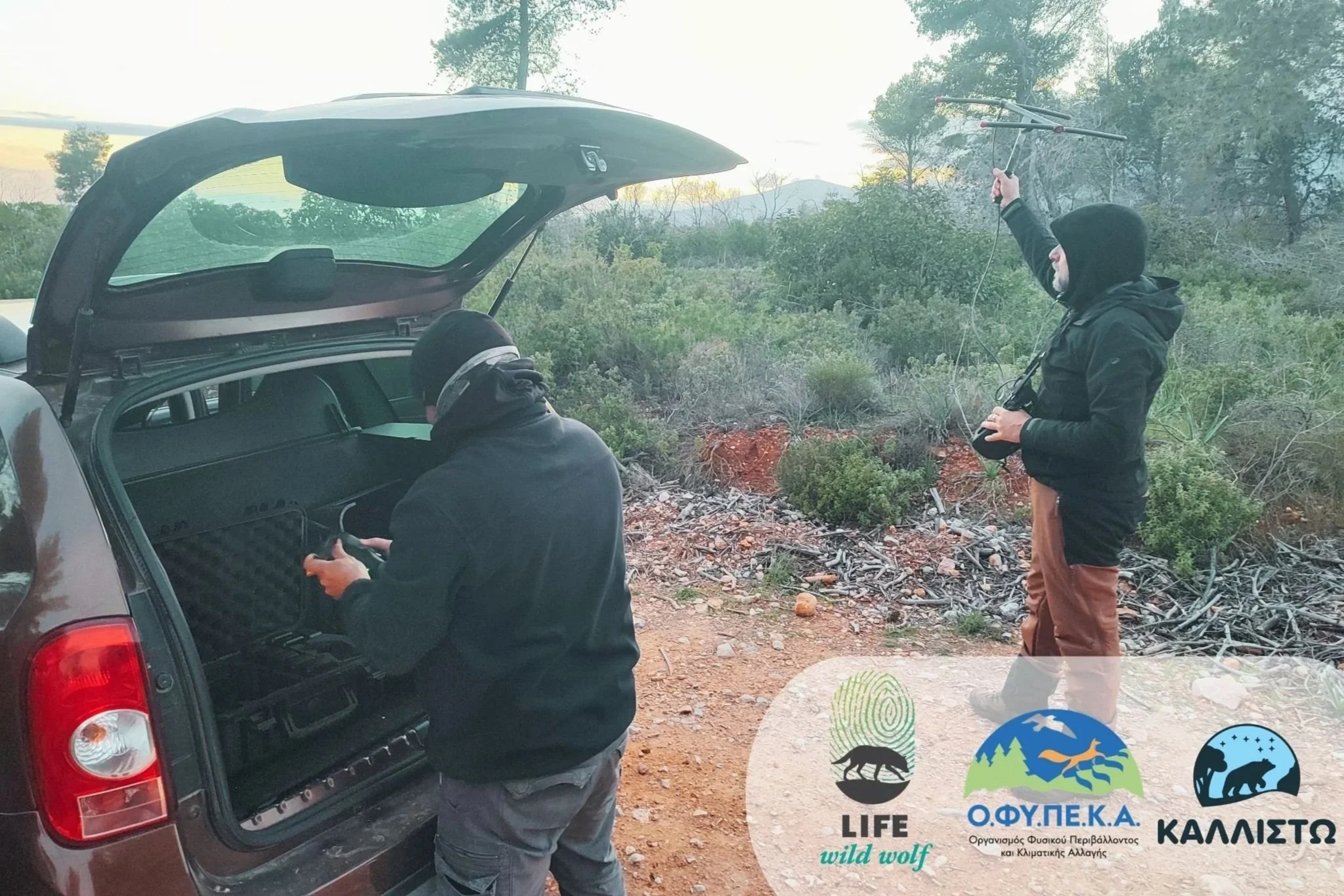 Addressing Wolf Habituation in Parnitha National Park: LIFE Wild Wolf Actions in Greece