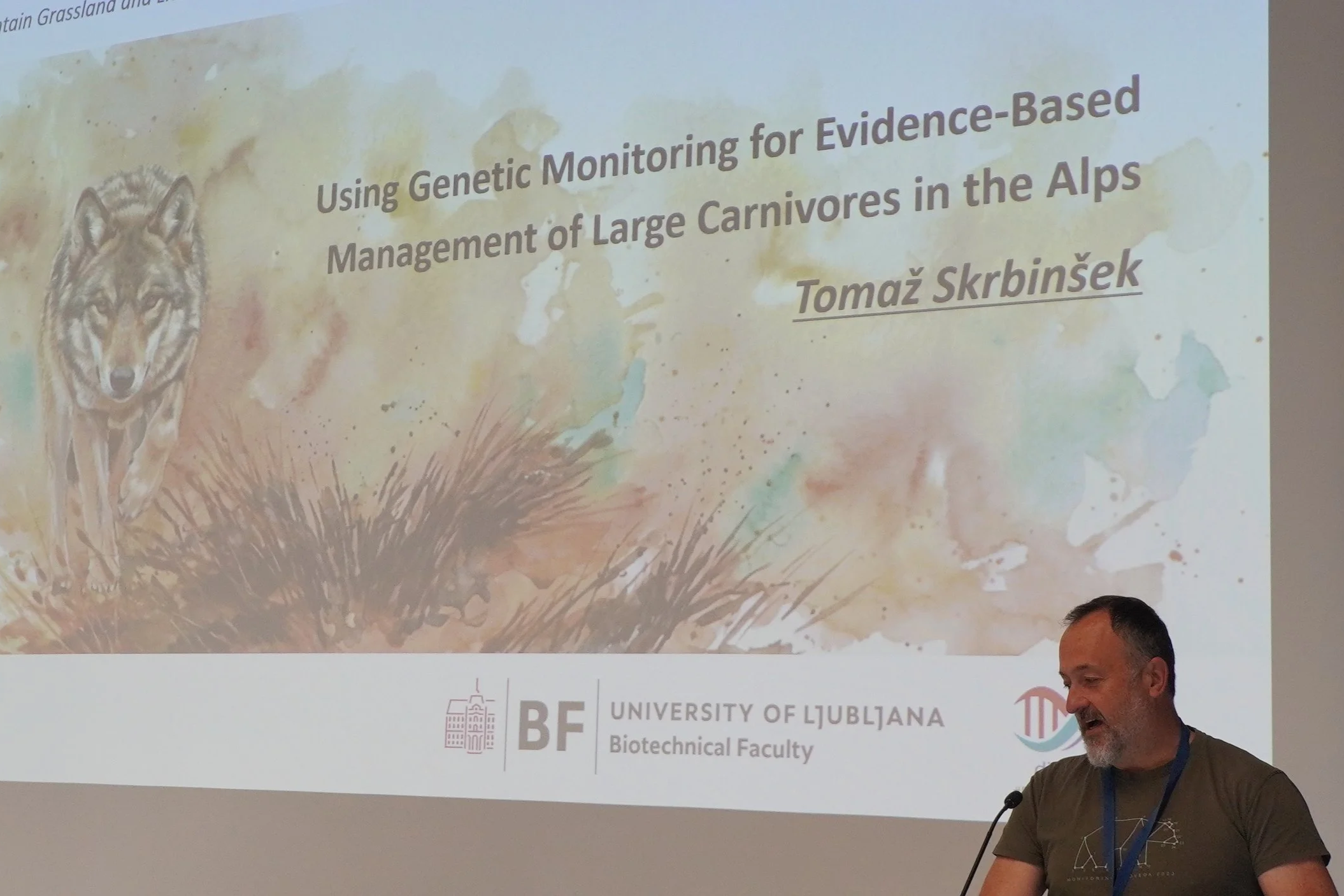 LIFE WILD WOLF knowledge shared at international mountain livestock conference