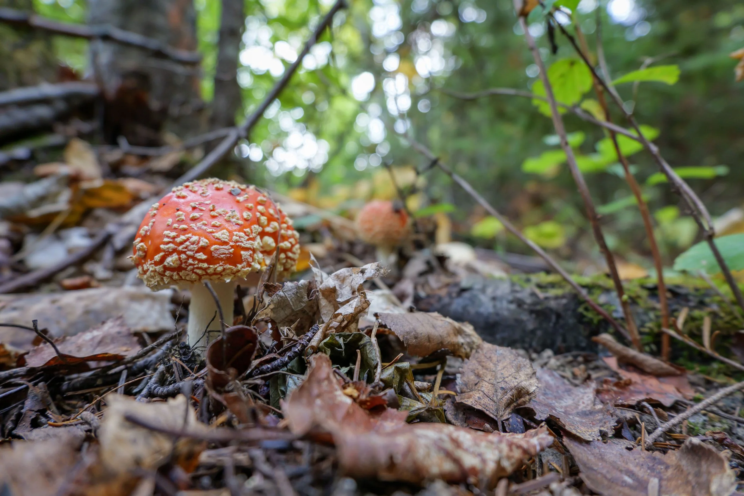 20240920-P1044051.jpg