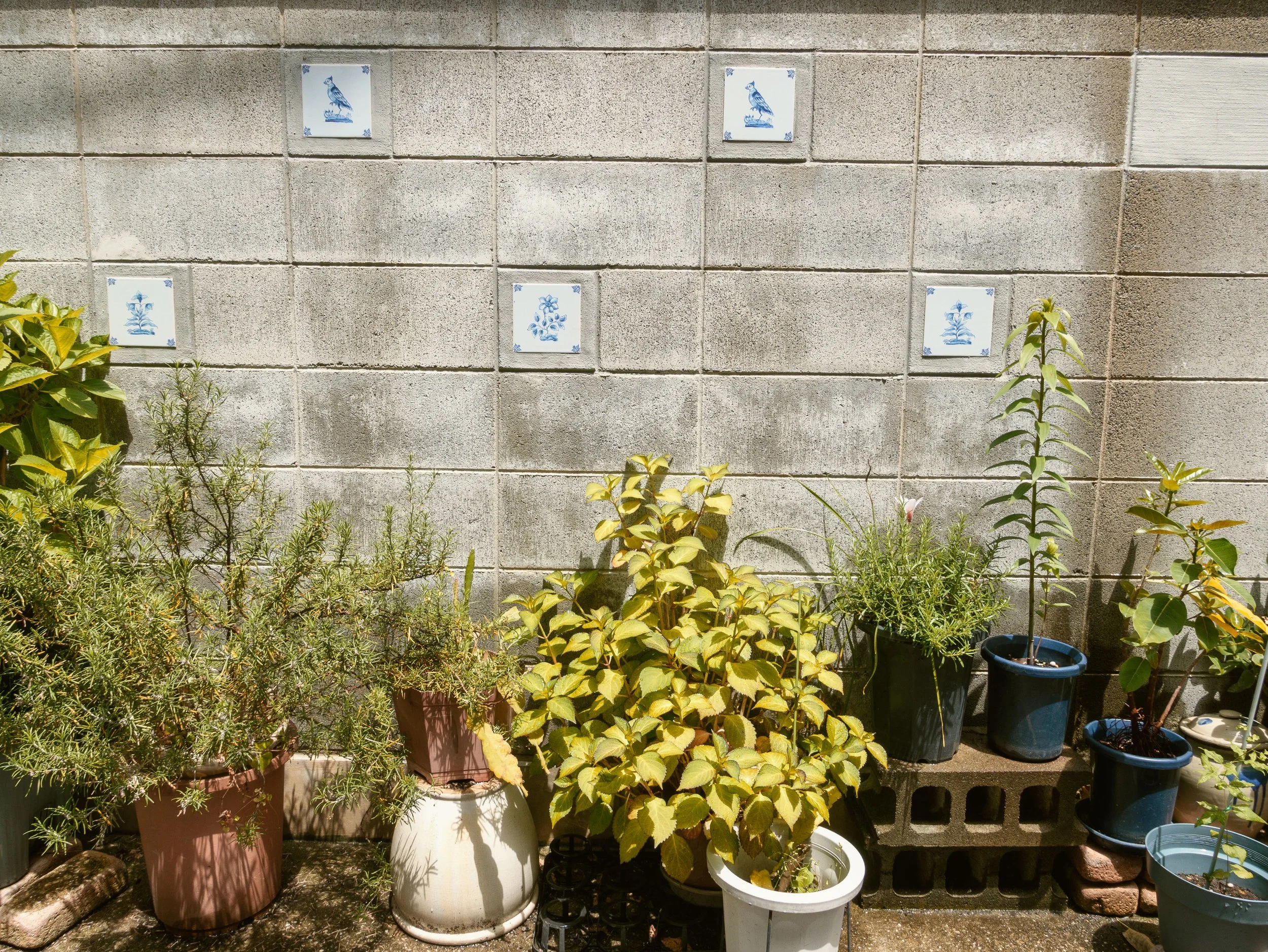 20260513-PL102191-2.jpg