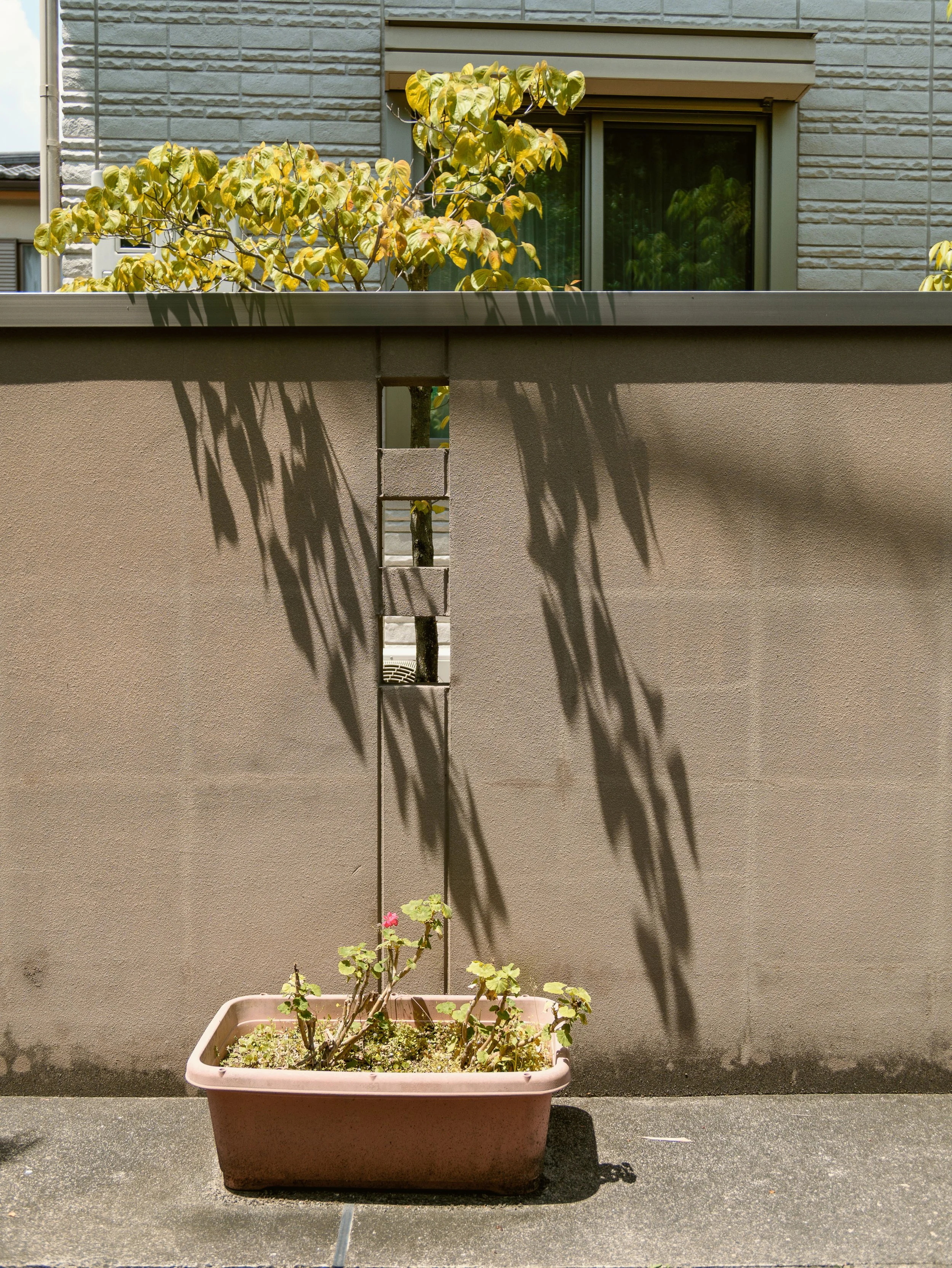 20260514-PL103130.jpg