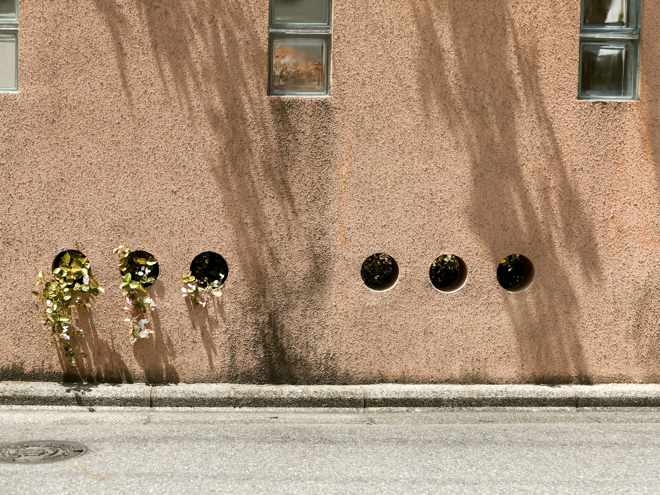 Kyoto, JP