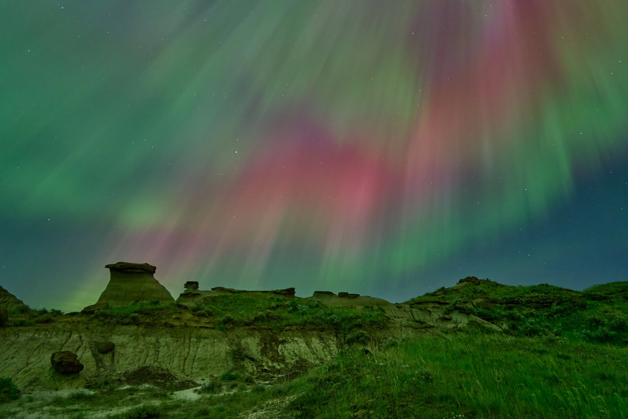 Dinosaur Provincial Park AB CA