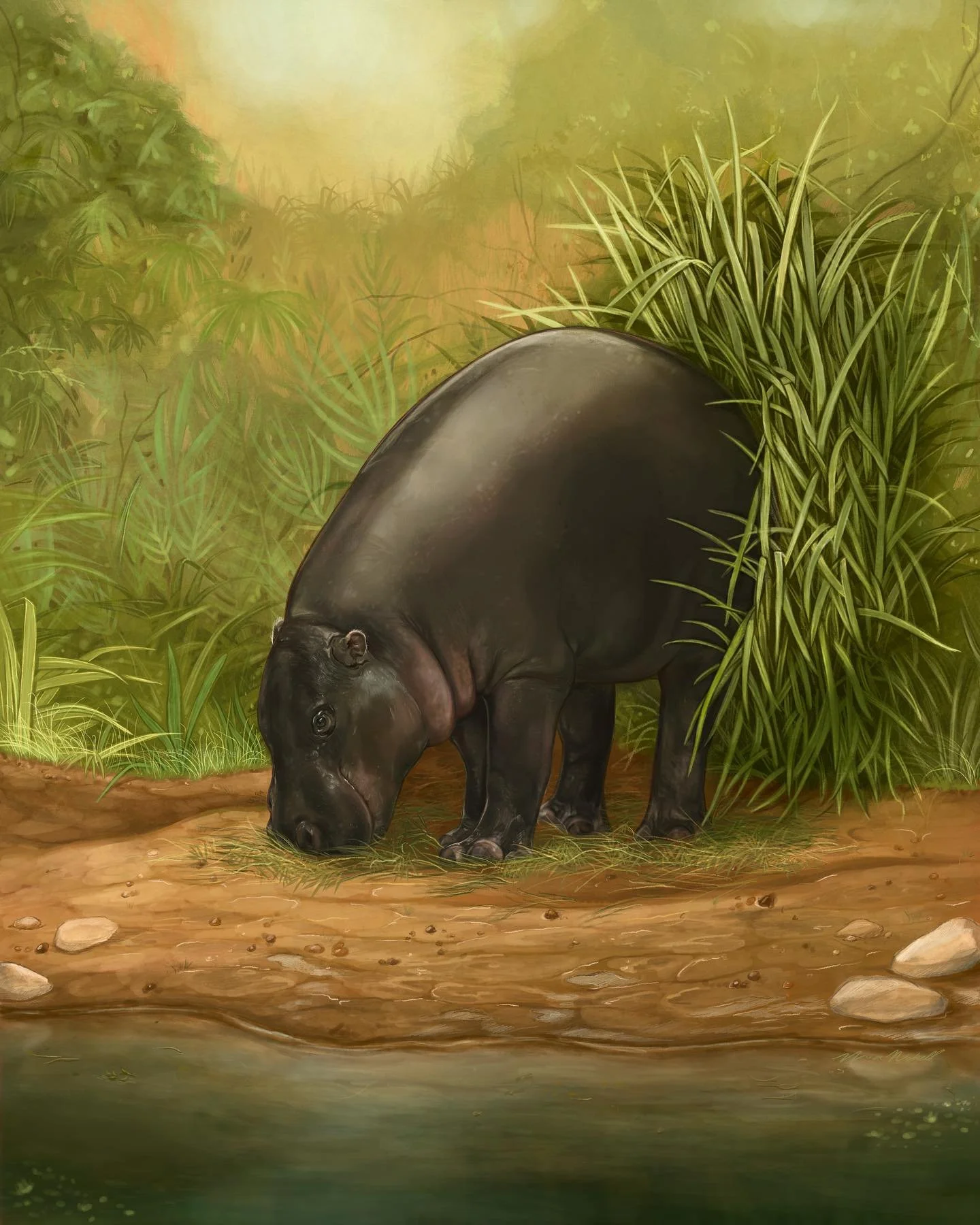 The summer I drew a few hippos 🫧
Here are full versions of the illustrations incorporated in my pygmy hippo infographic!

&lt;&mdash; Check out part 2 for info on this project I completed for @metrorichmondzoo 
.
.
.
&copy;2025 Mia Nickell + Mia Nic