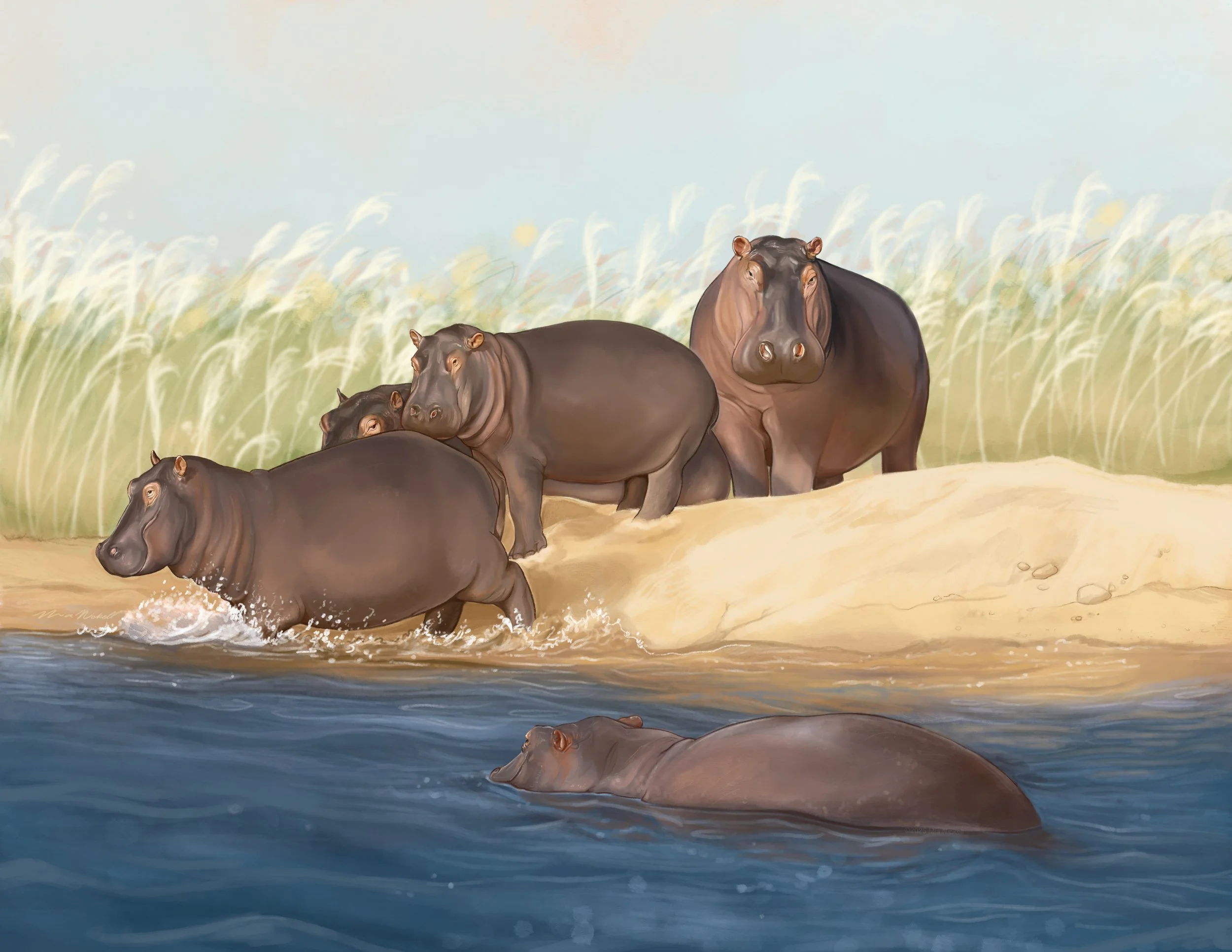 Spot Illustration for Metro Richmond Zoo | Procreate