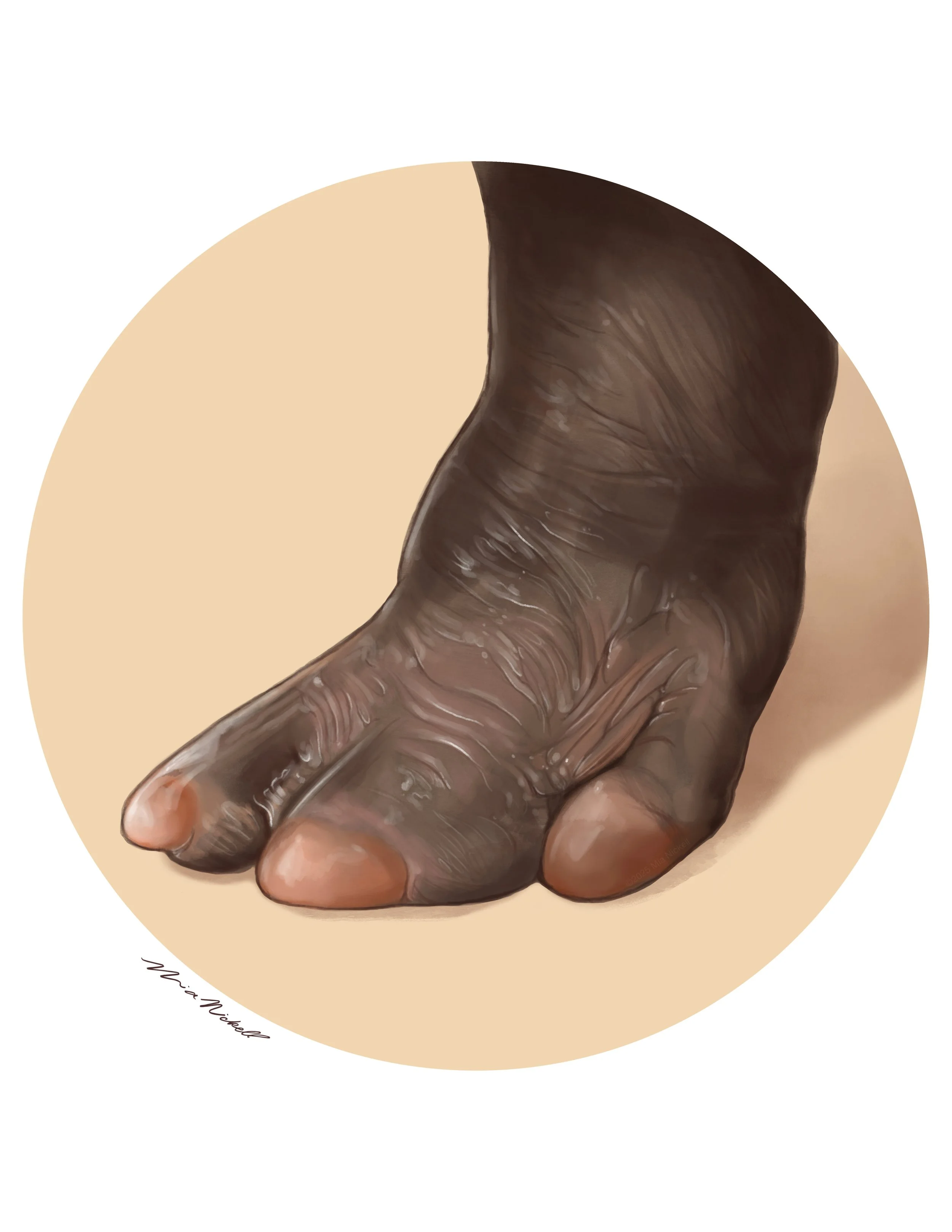 Spot Illustration for Metro Richmond Zoo | Procreate