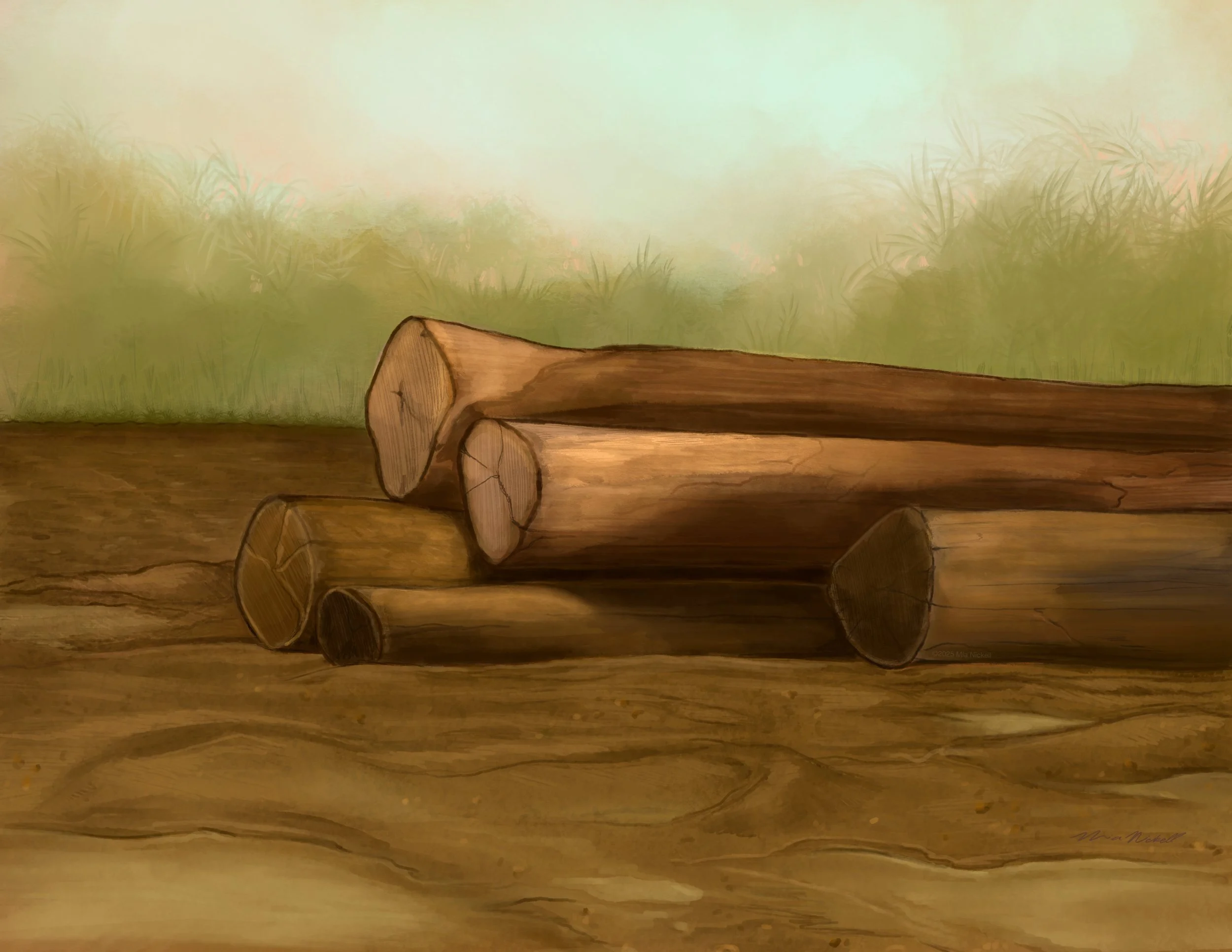 Spot Illustration for Metro Richmond Zoo | Procreate