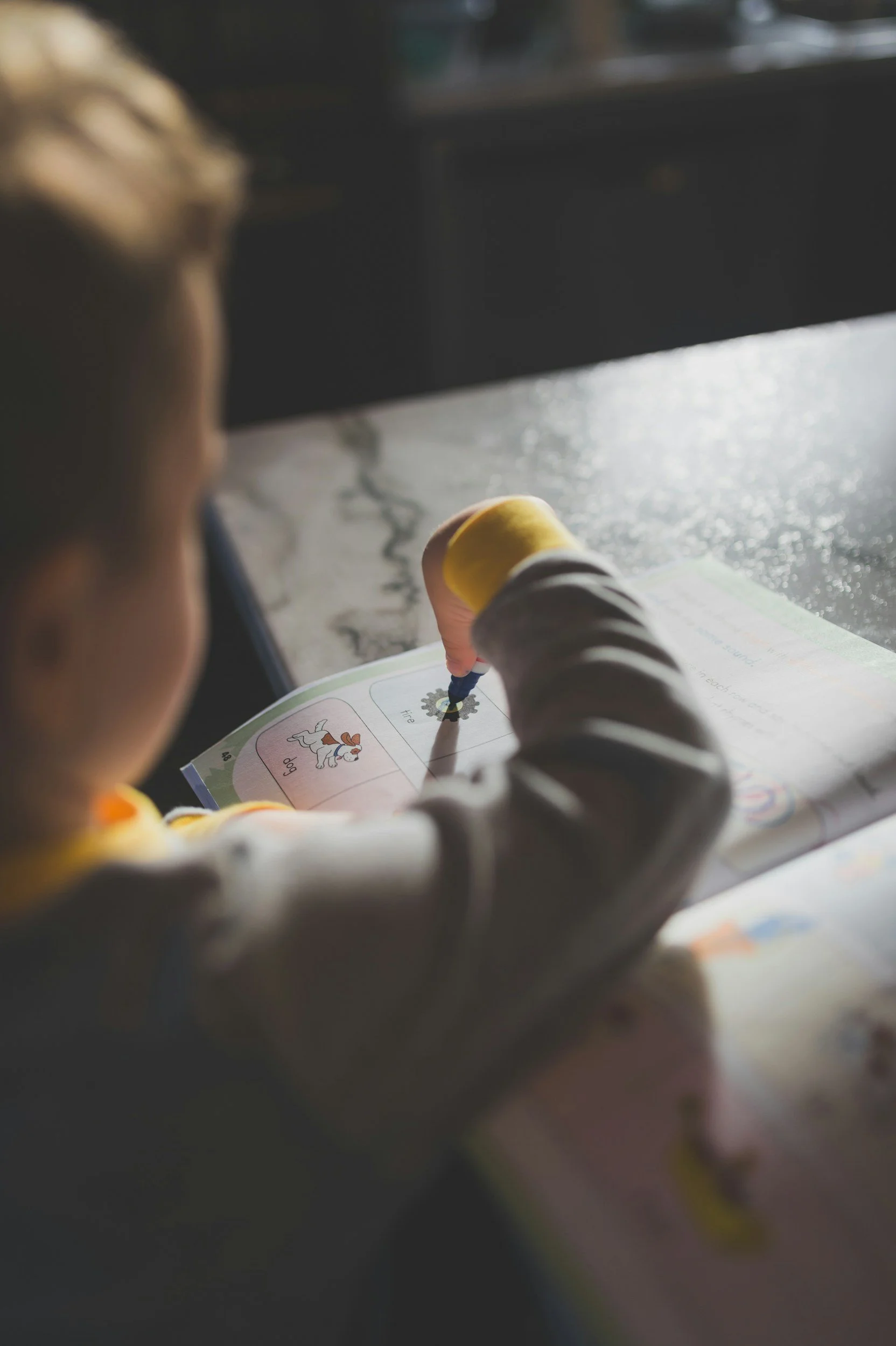 A young child with curly hair is reading a book at a desk, with sunlight illuminating the page.