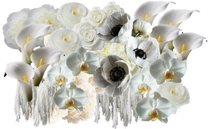 White Colors 1.jpg