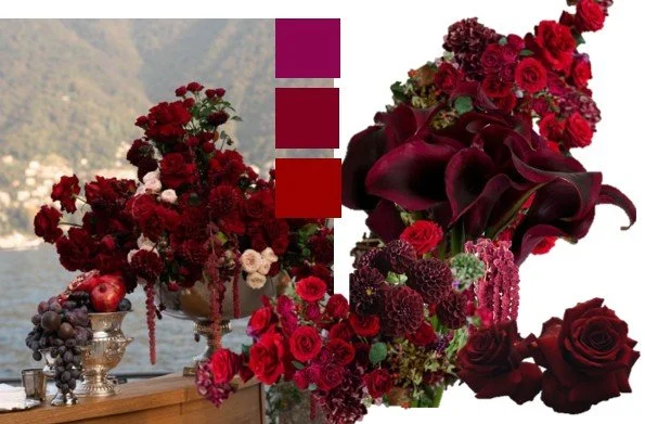 RED Color 1.jpg