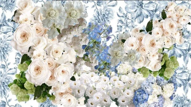 White and Blue 1.jpg