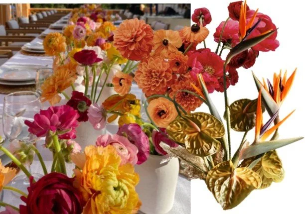 Bright Colors 1.jpg