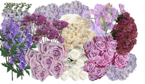 Purple colors 1.jpg