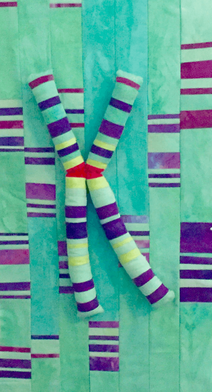 chromosome.png