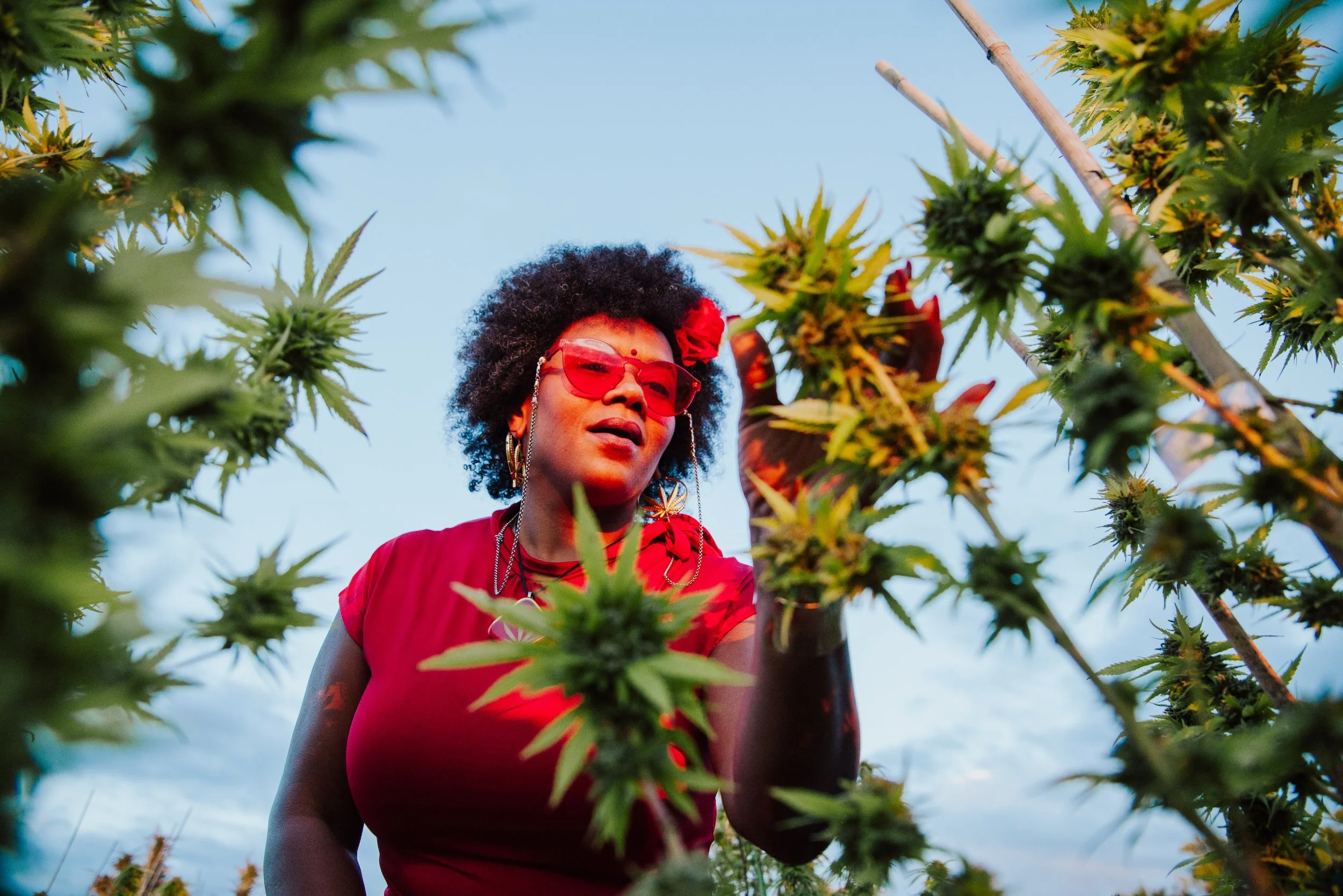 Cannabis Karma Brings Big Vibes to NCF