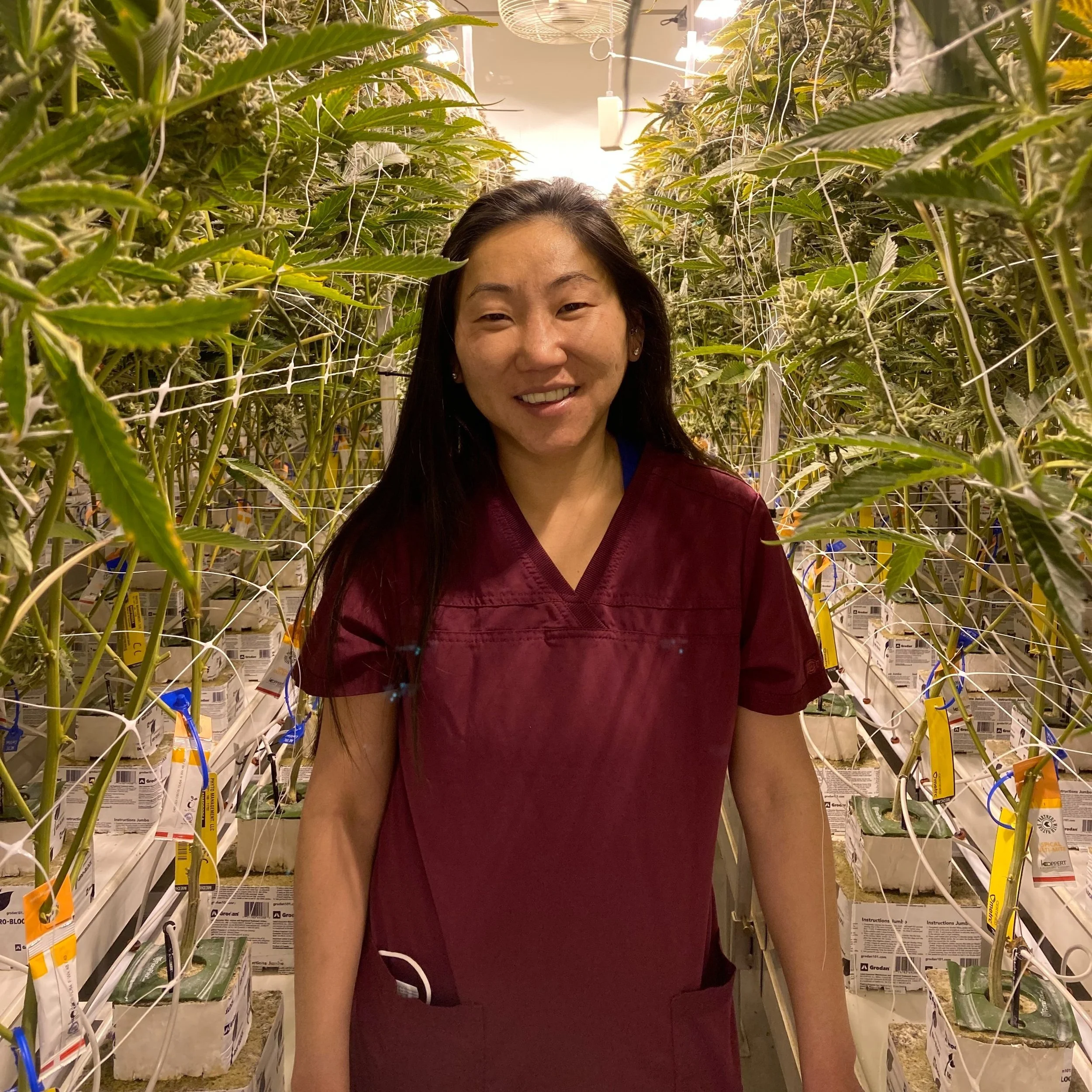 Kaitlin Foster Talks Collaboration and Cultivation