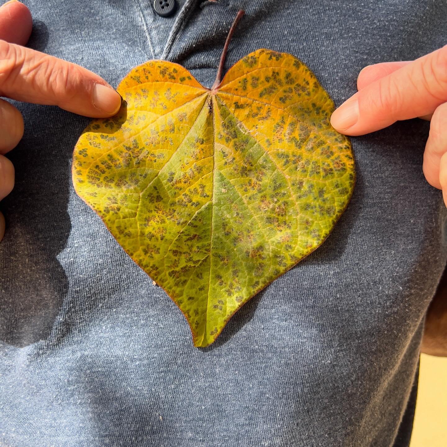Hold someone you love (you can just hug people all day)&hearts;️

Let&rsquo;s focus on spreading kindness, respect, resiliency, compassion, authenticity and love!❤️
