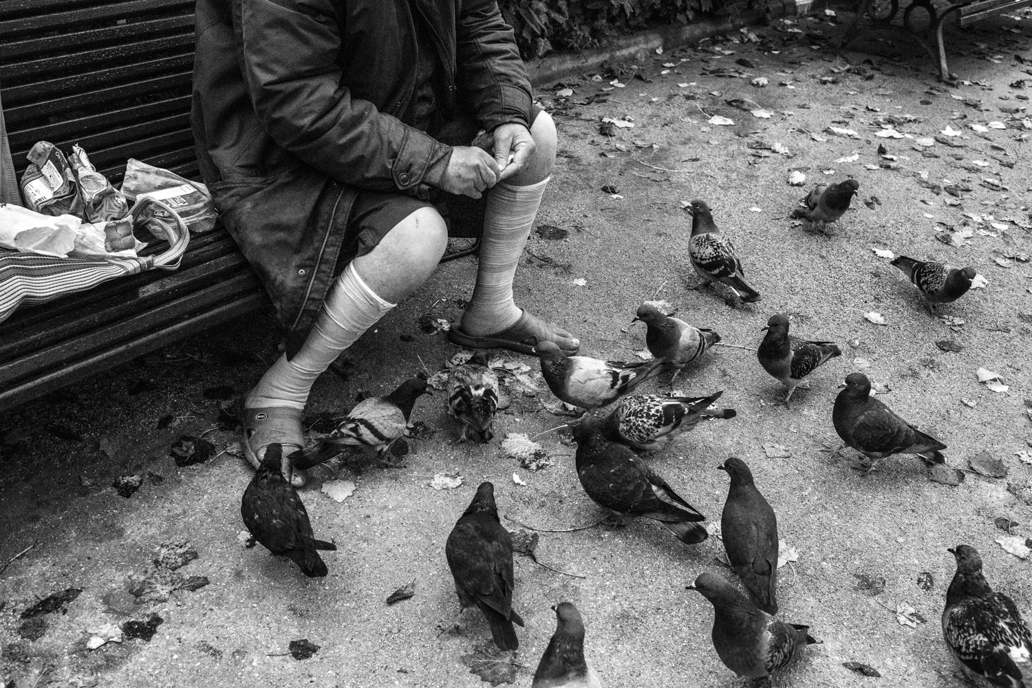 Photo Essay: Stringfoot