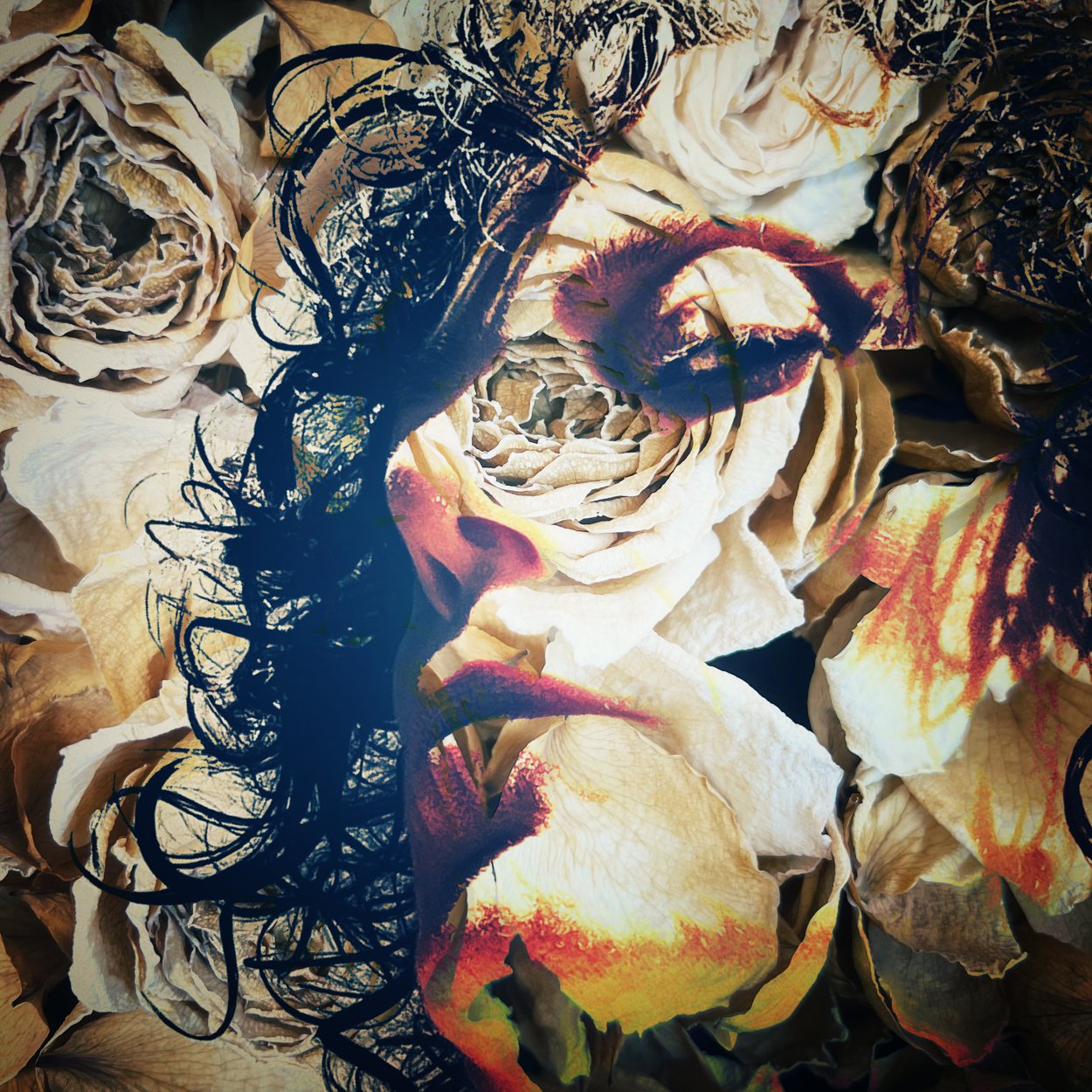 ©Ellen Friedlander_Everything is Not What it Seems.jpg