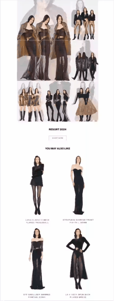 chrome-capture-2024-11-21 (1).gif