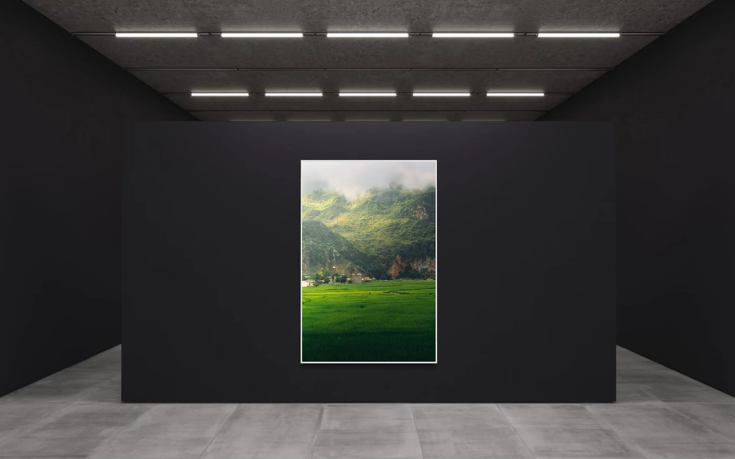 Campos de Arroz 2.jpg