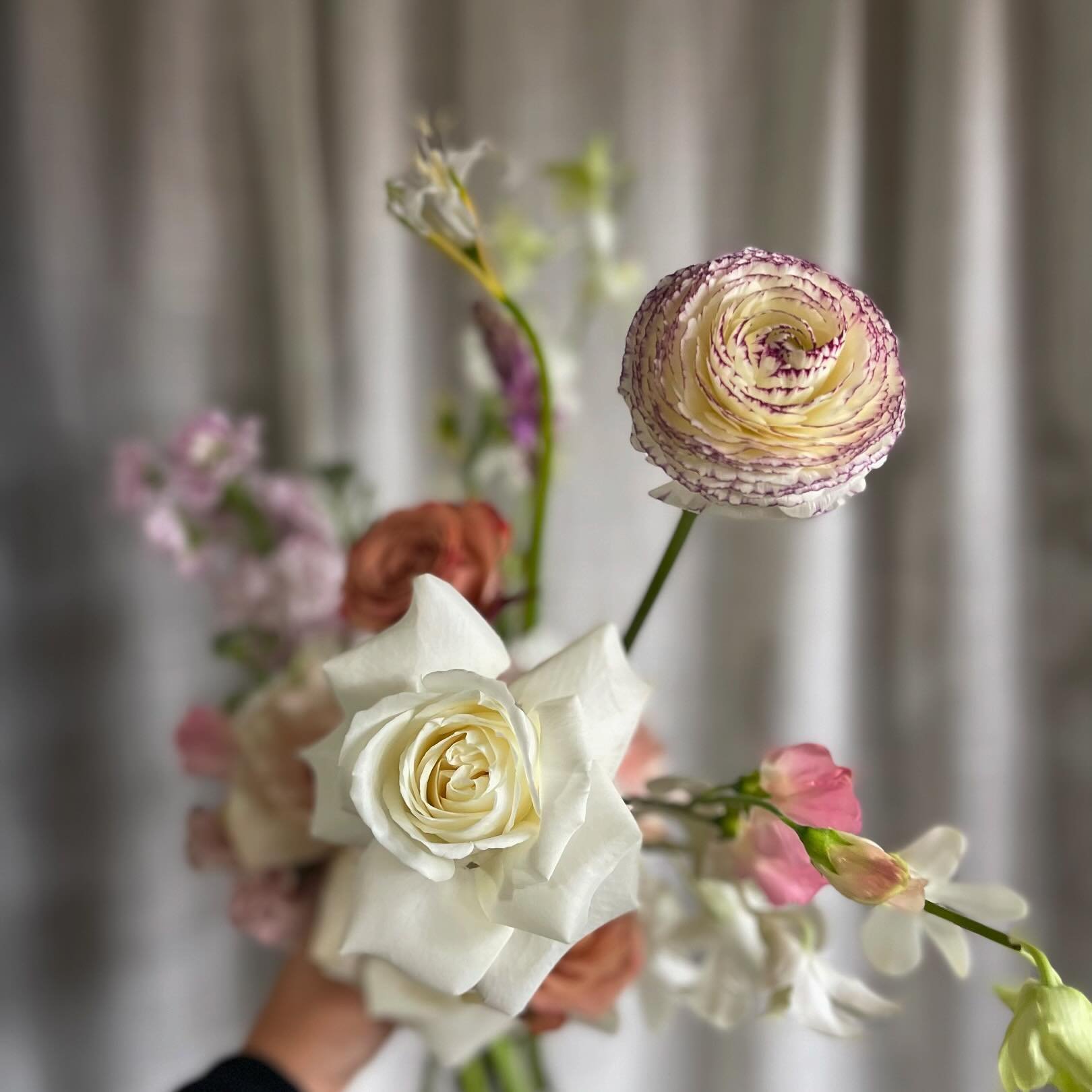 Sometimes I can&rsquo;t believe some flowers are real. 

Like this Playa Blanca rose and epic Ranunculs from @virgil_greenhouses. 

Mother Nature is magic but don&rsquo;t forget the hands that keep these flowers hydrated and cool, coddled and loved a